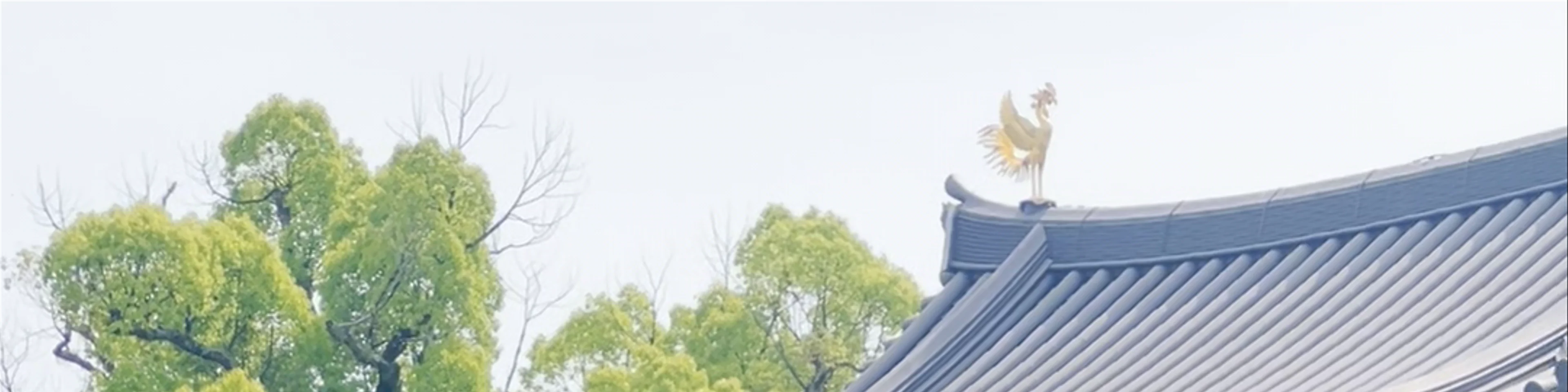 Byodoin