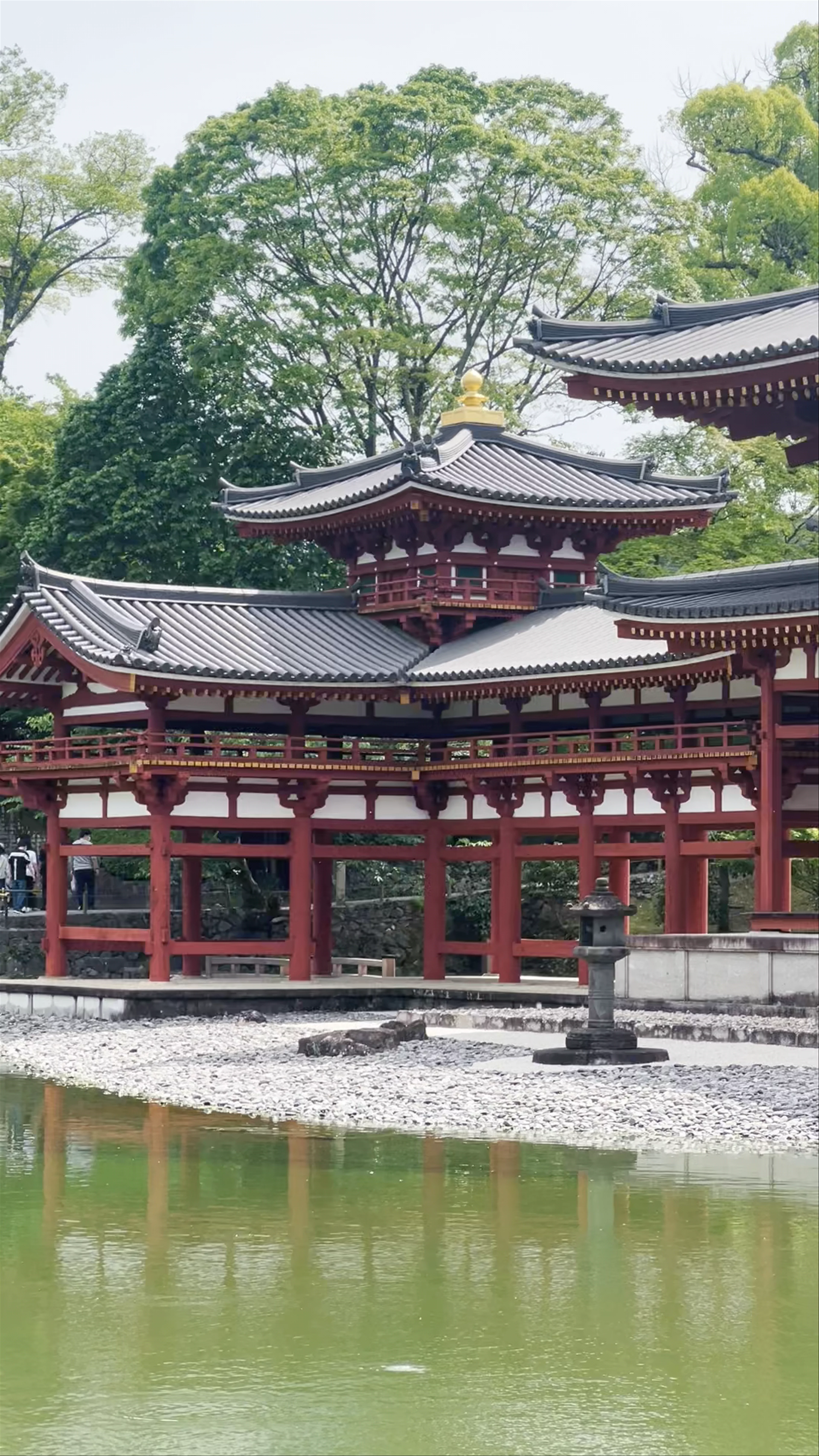 Byodoin, Renge-116 Uji, Kyoto, Japan