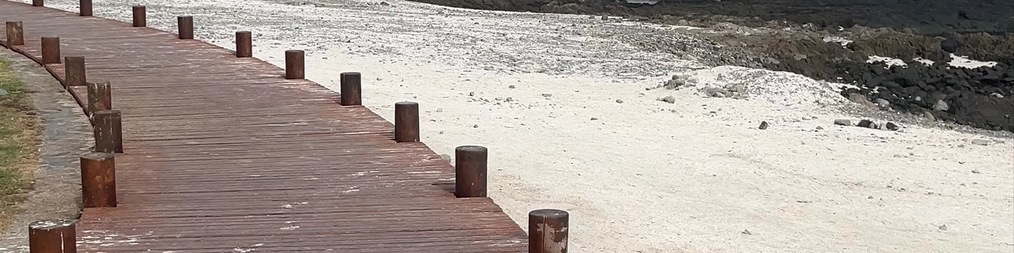 Avenida del mar