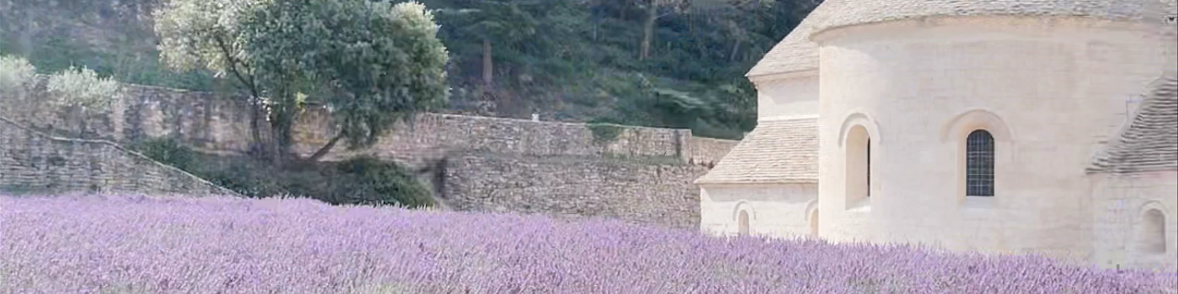 Abbaye Notre-Dame de Sénanque
