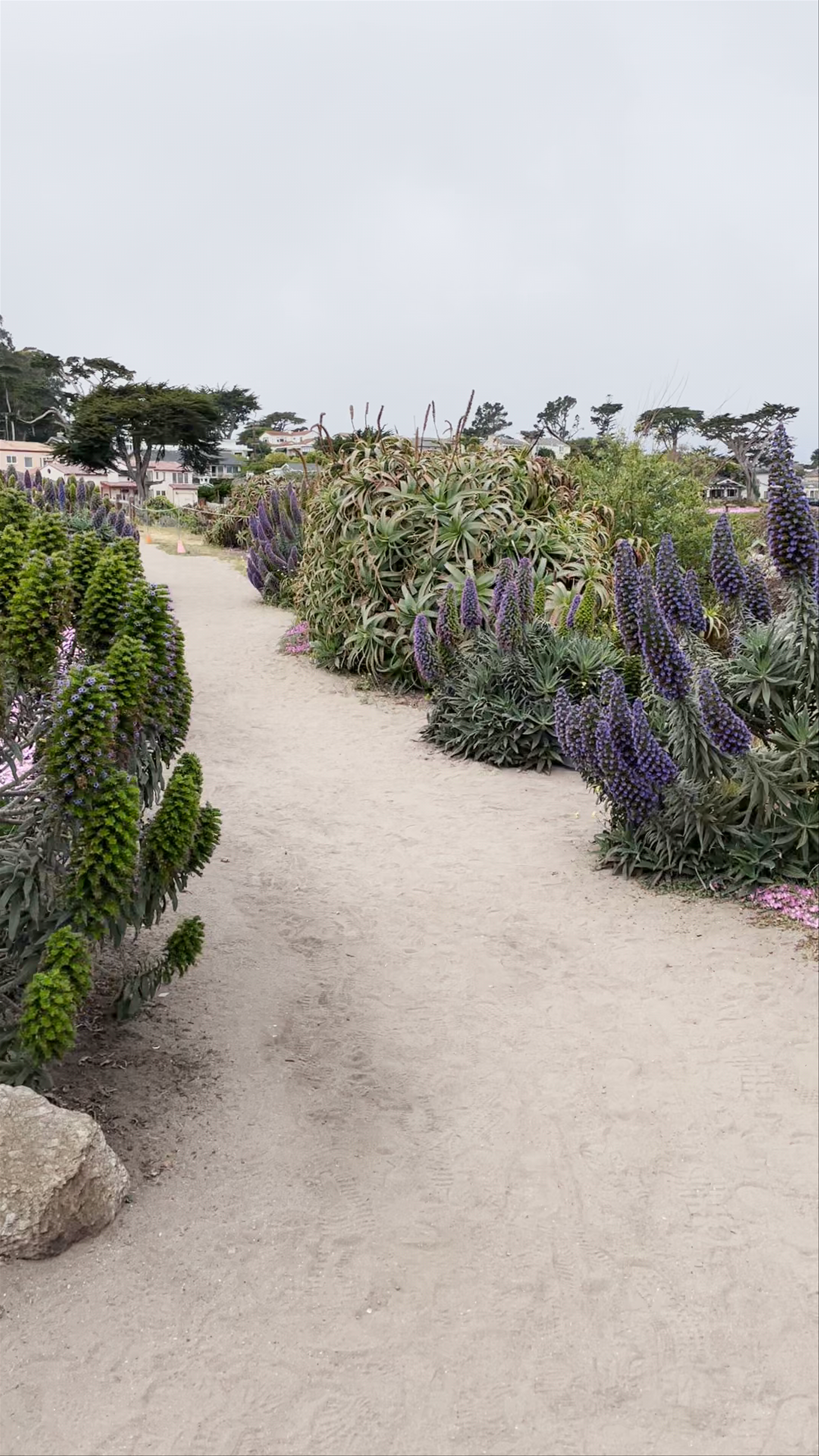 Lovers Point Park
