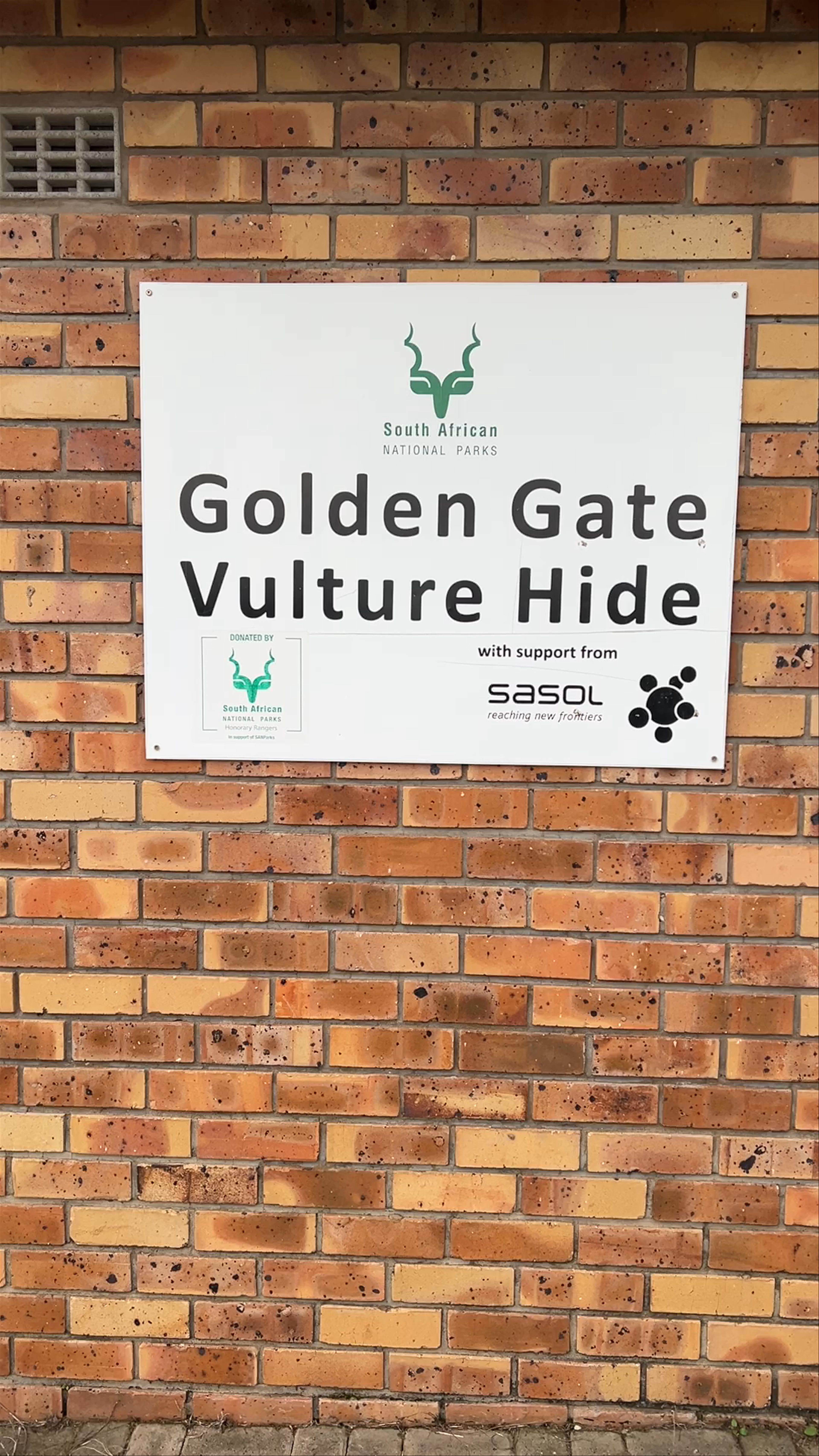 Vulture Hide