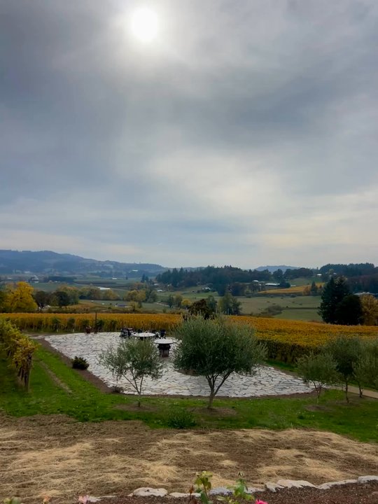 Lachini Vineyards - Wine Tasting Room Near Me - Newberg, Oregon
