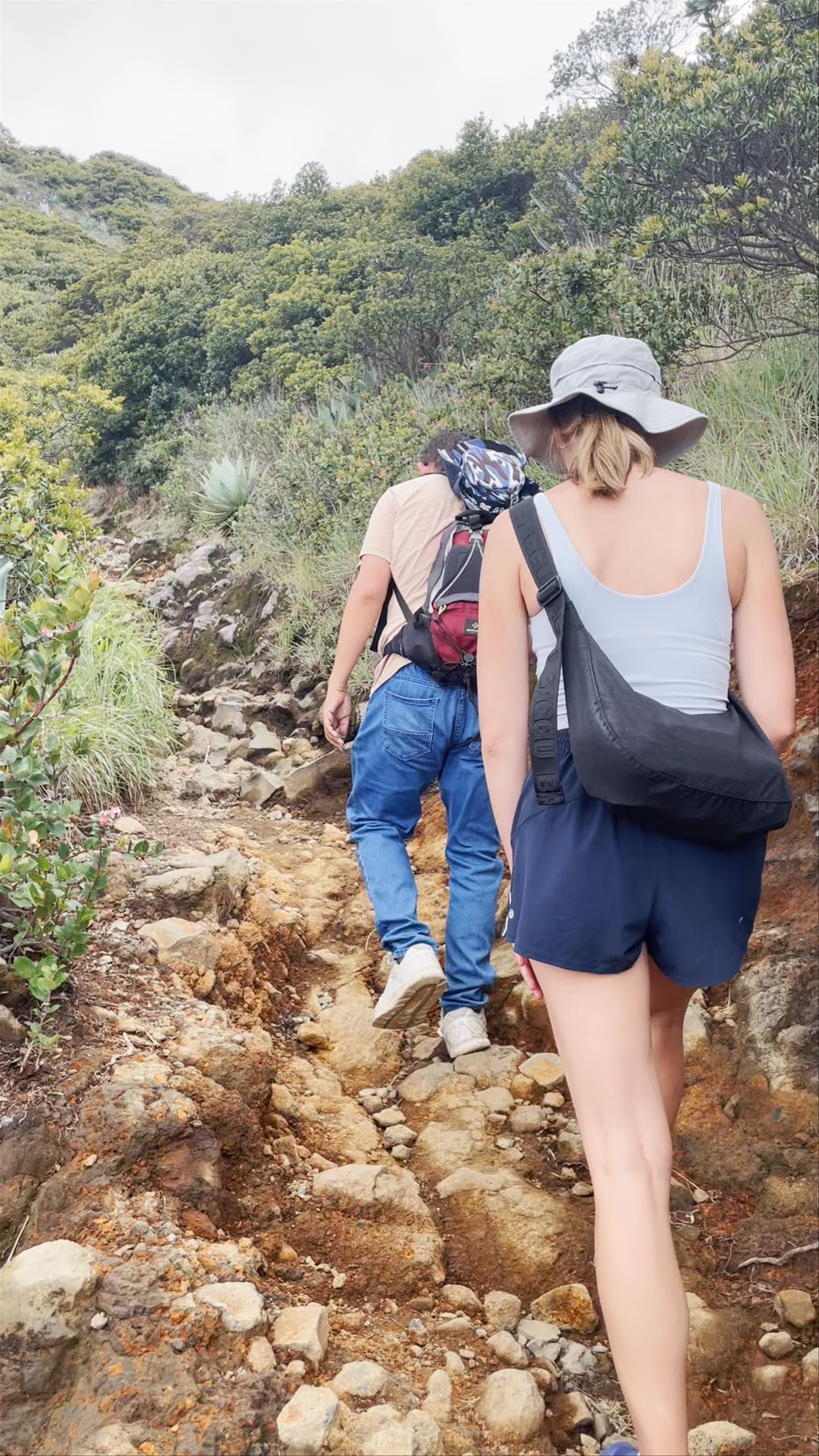Santa Ana Volcano Panoramic Viewpoint Two