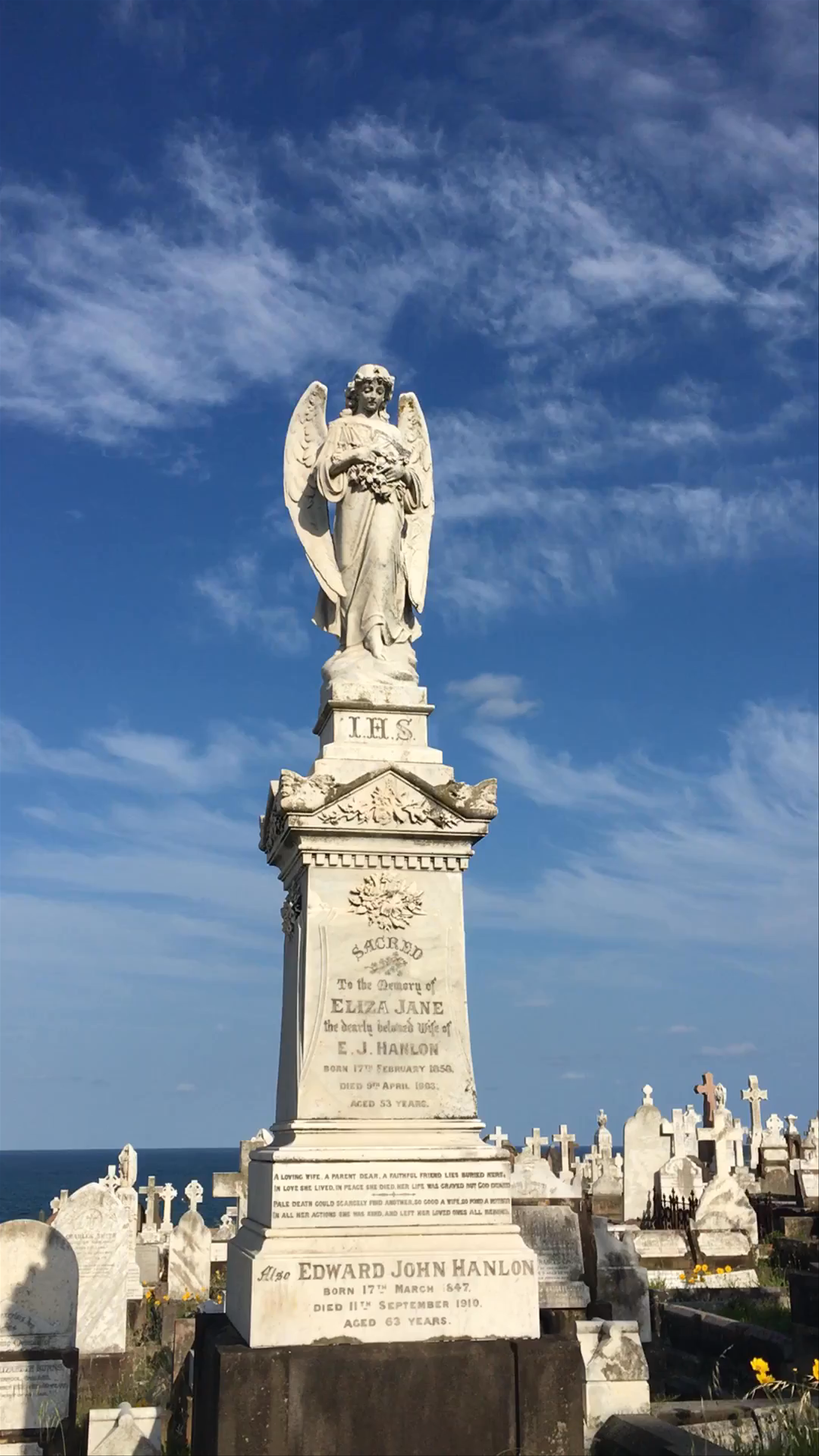 Waverley Cemetery Lookout