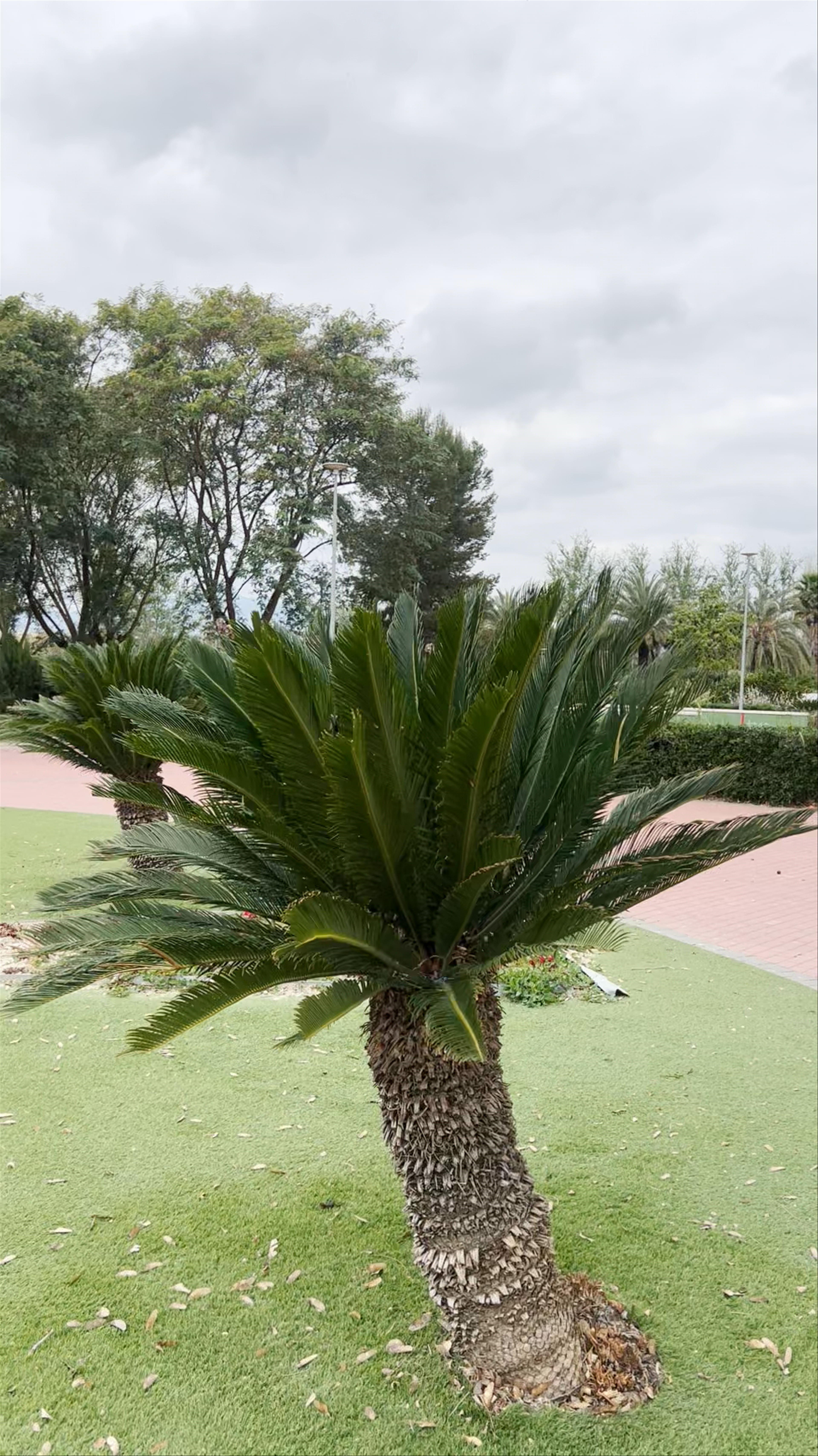 Parque de la Constitución