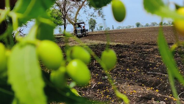 Photo of Bhai ka video 