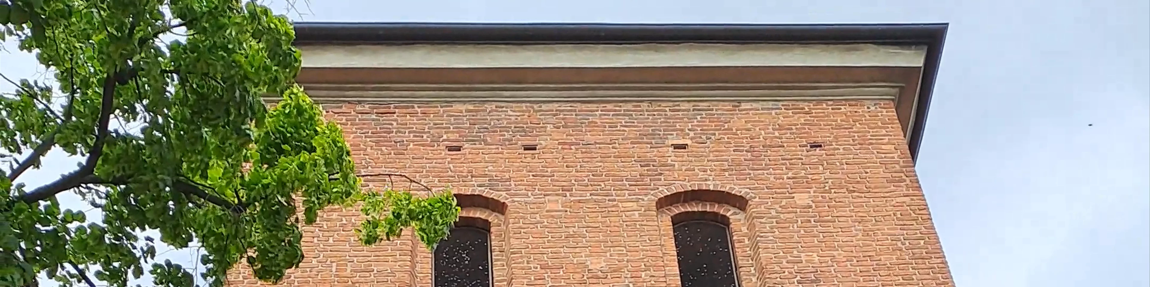 Katedra pw. św. Marcina i Mikołaja