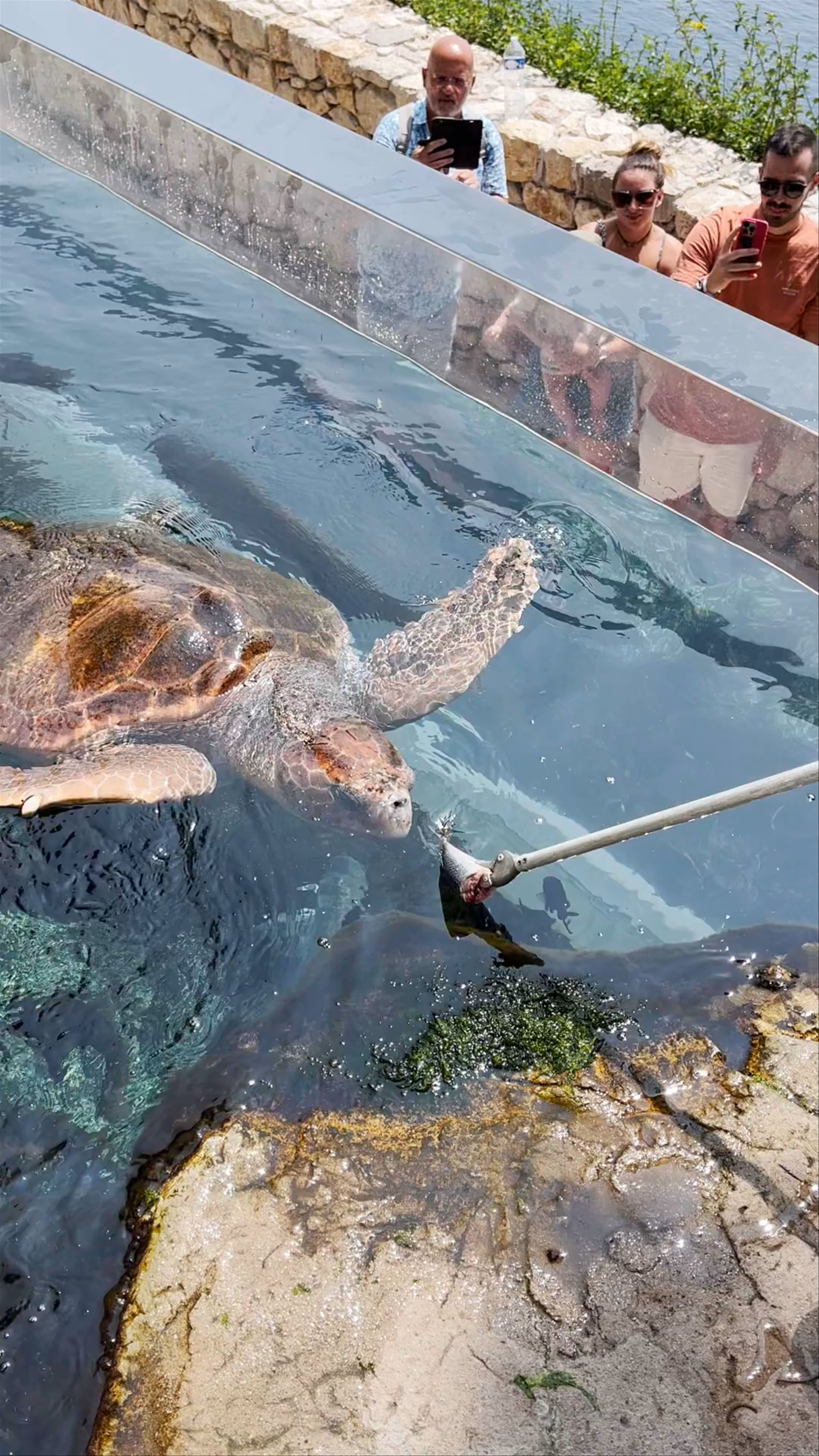 Musée océanographique de Monaco