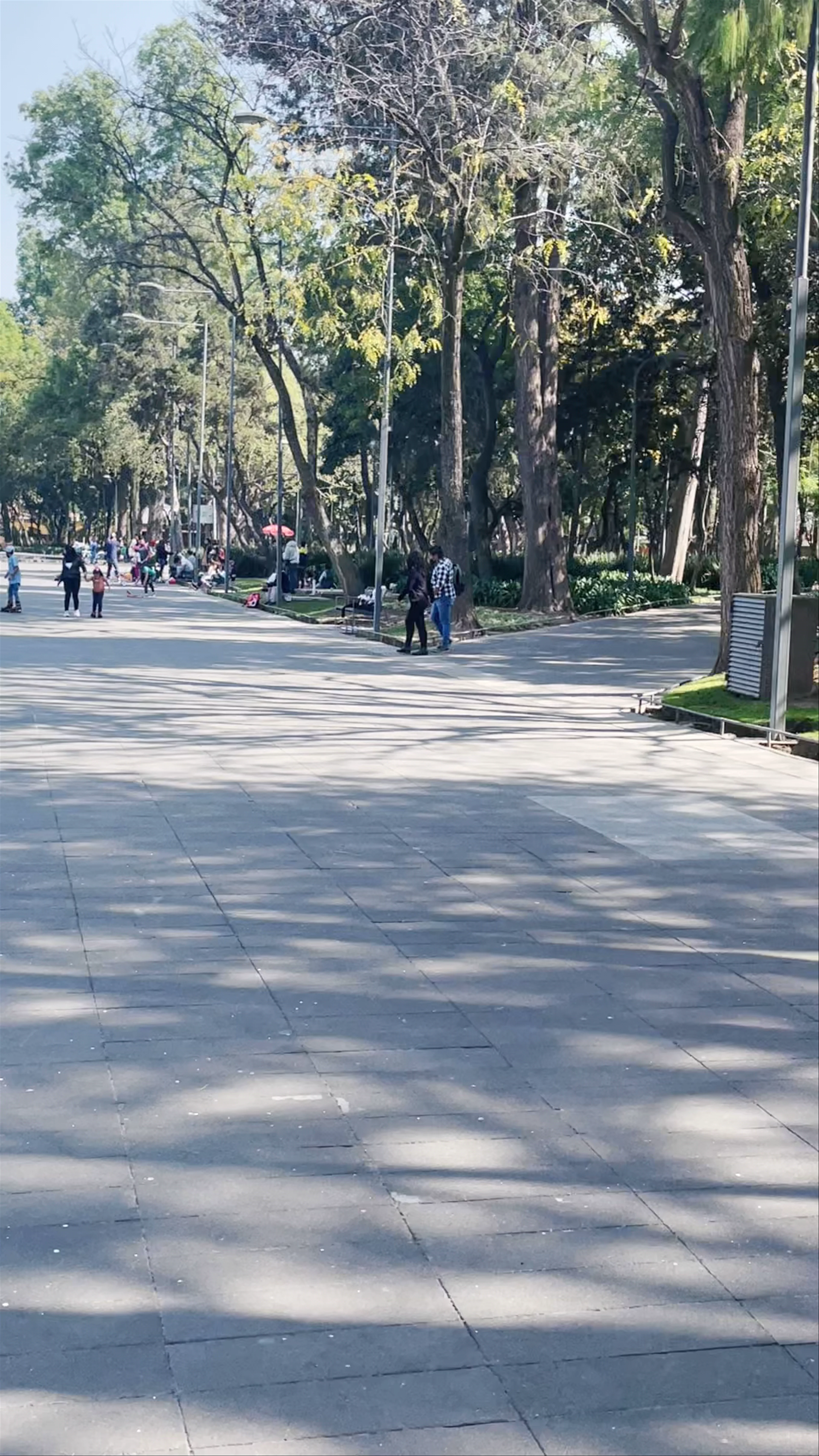 Obregón, Jalalpa Calzada