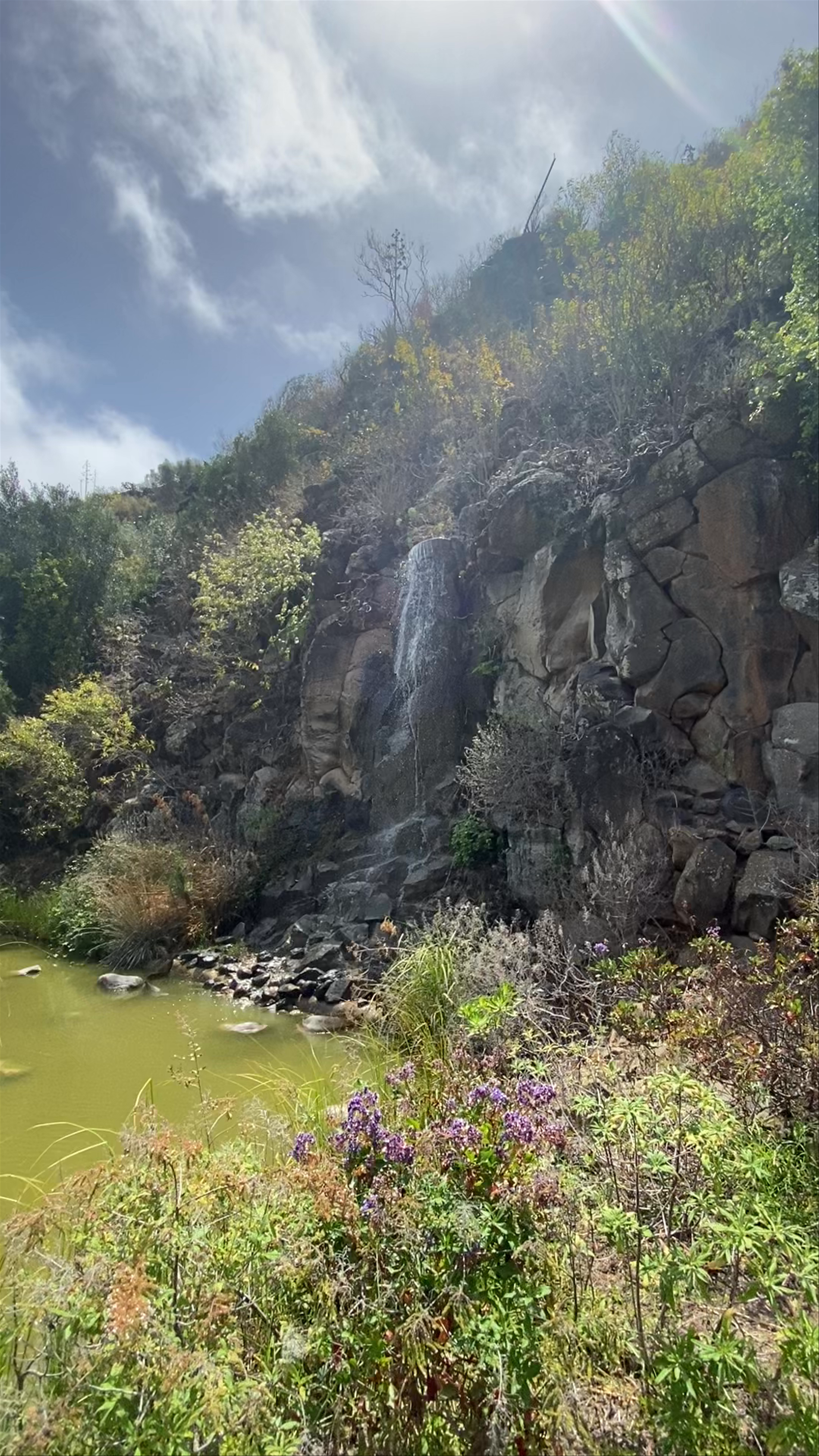 Serene Waterfall and Botanical Beauty at Jardin Botanico, Las Palmas de Gran Canaria
