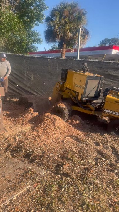 Bros Tree Service - Stump grinding - Tree Services Near Me - Orlando, Florida