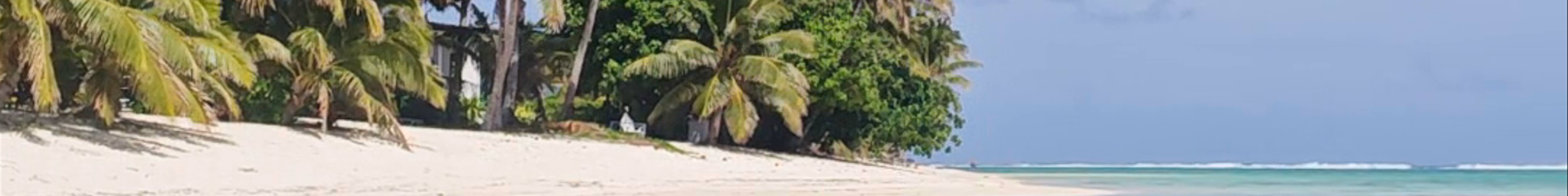 Tours & experiences in Cook Islands