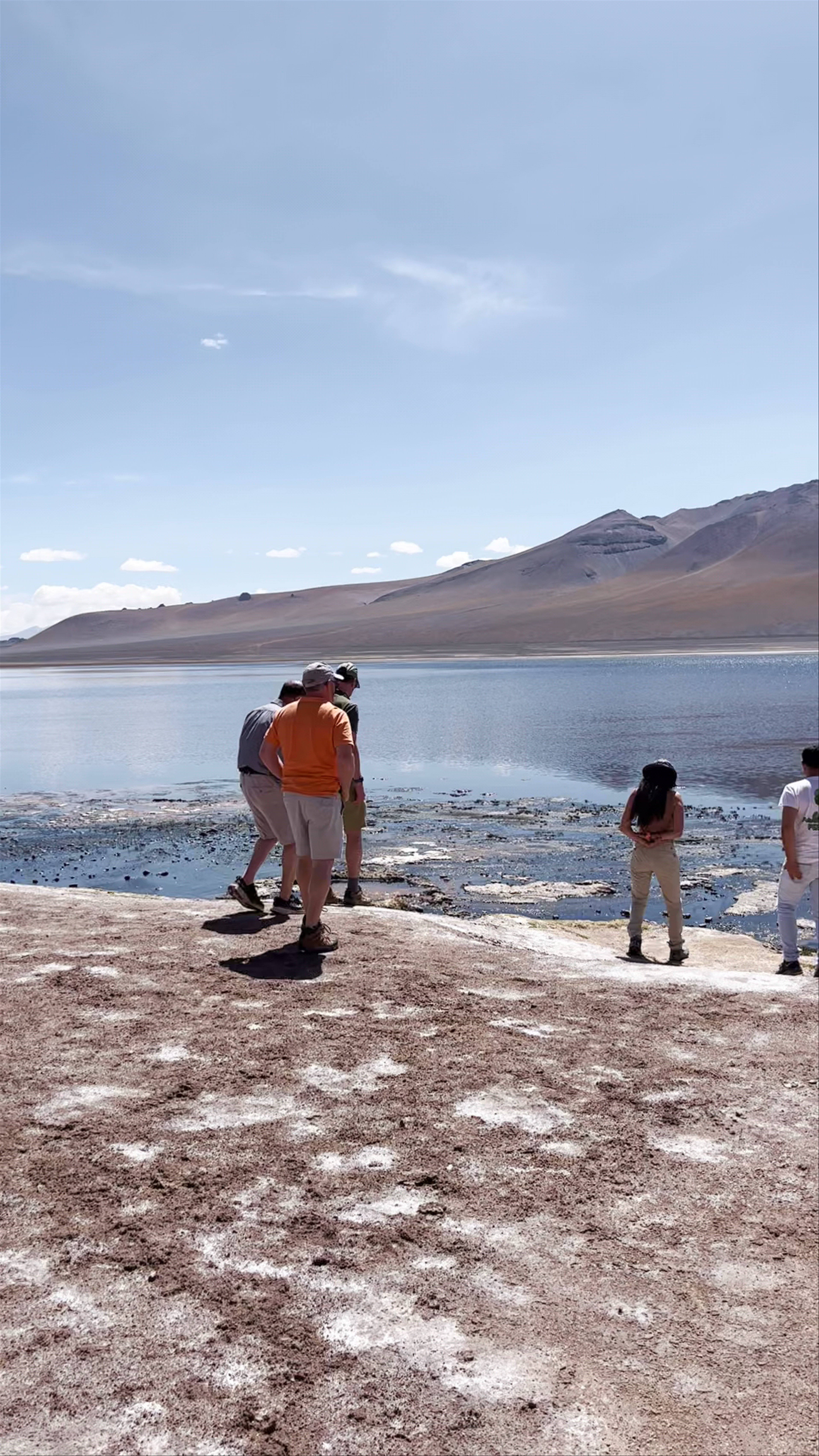 Mirador de Aguascalientes: Serene High-Altitude Lake Views in San Pedro de Atacama