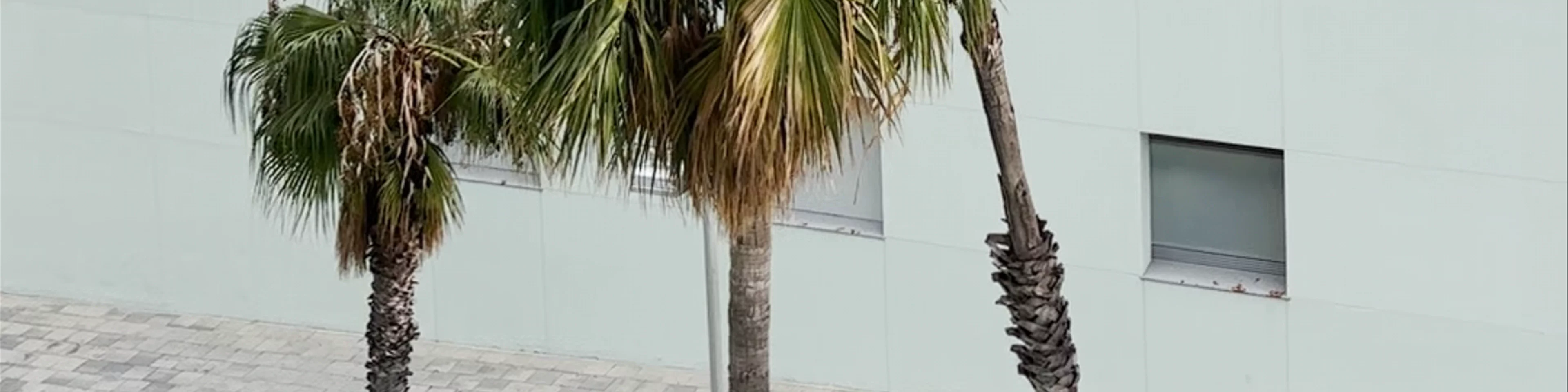 Norrsken House Barcelona