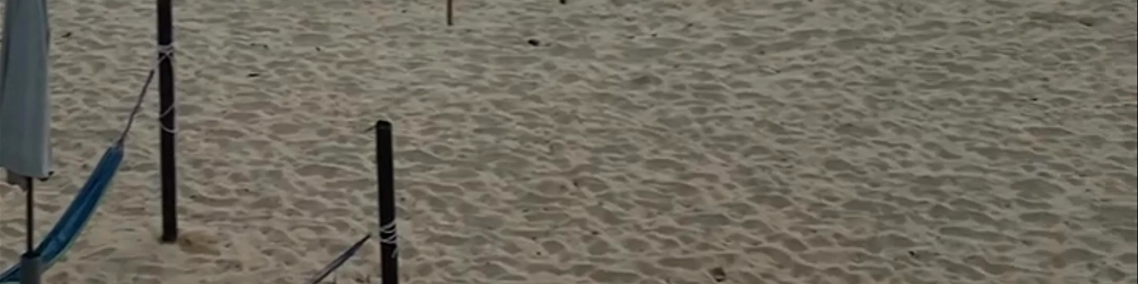 Beach Shack