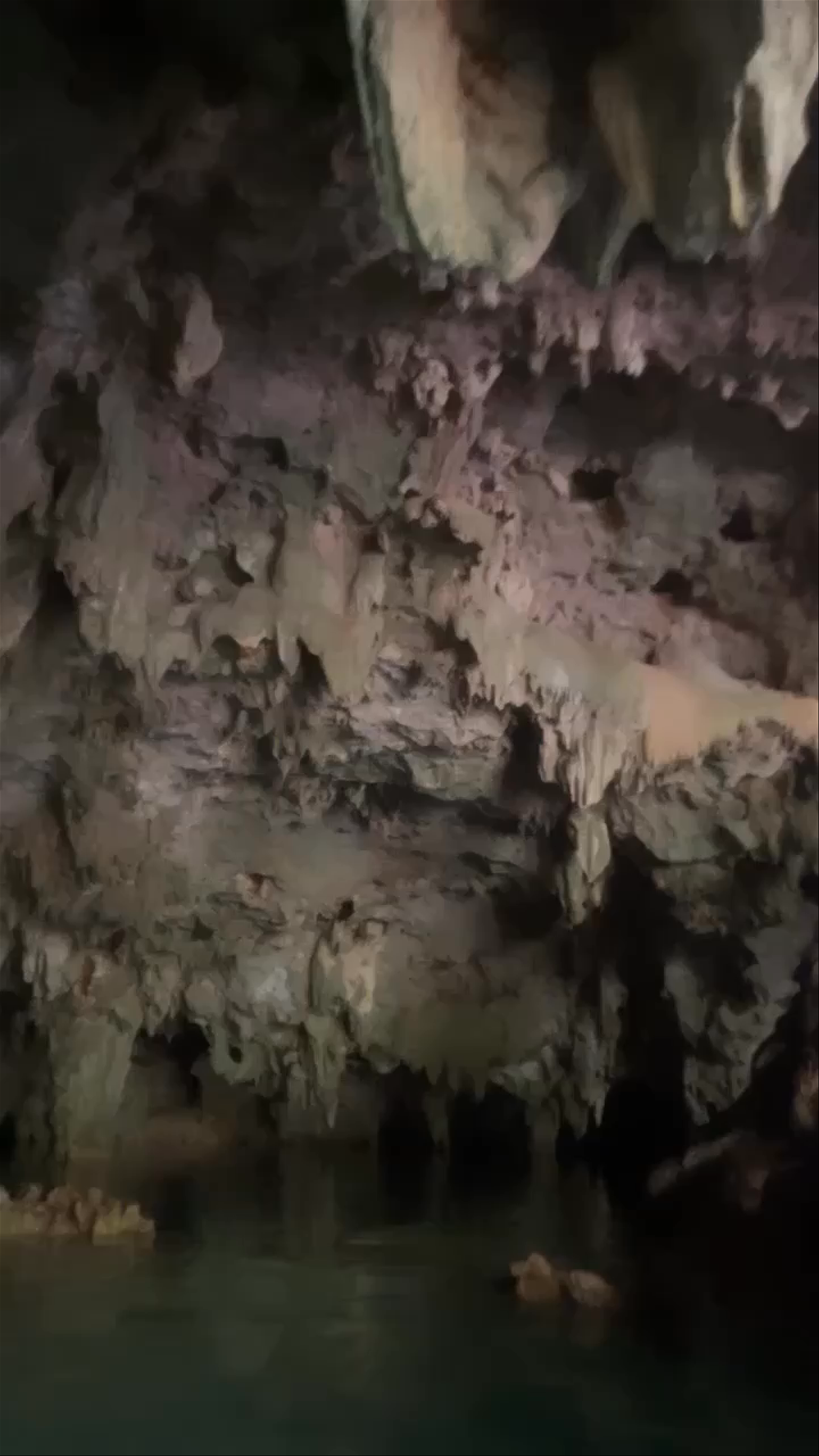 Cenotes Casa Tortuga Tulum