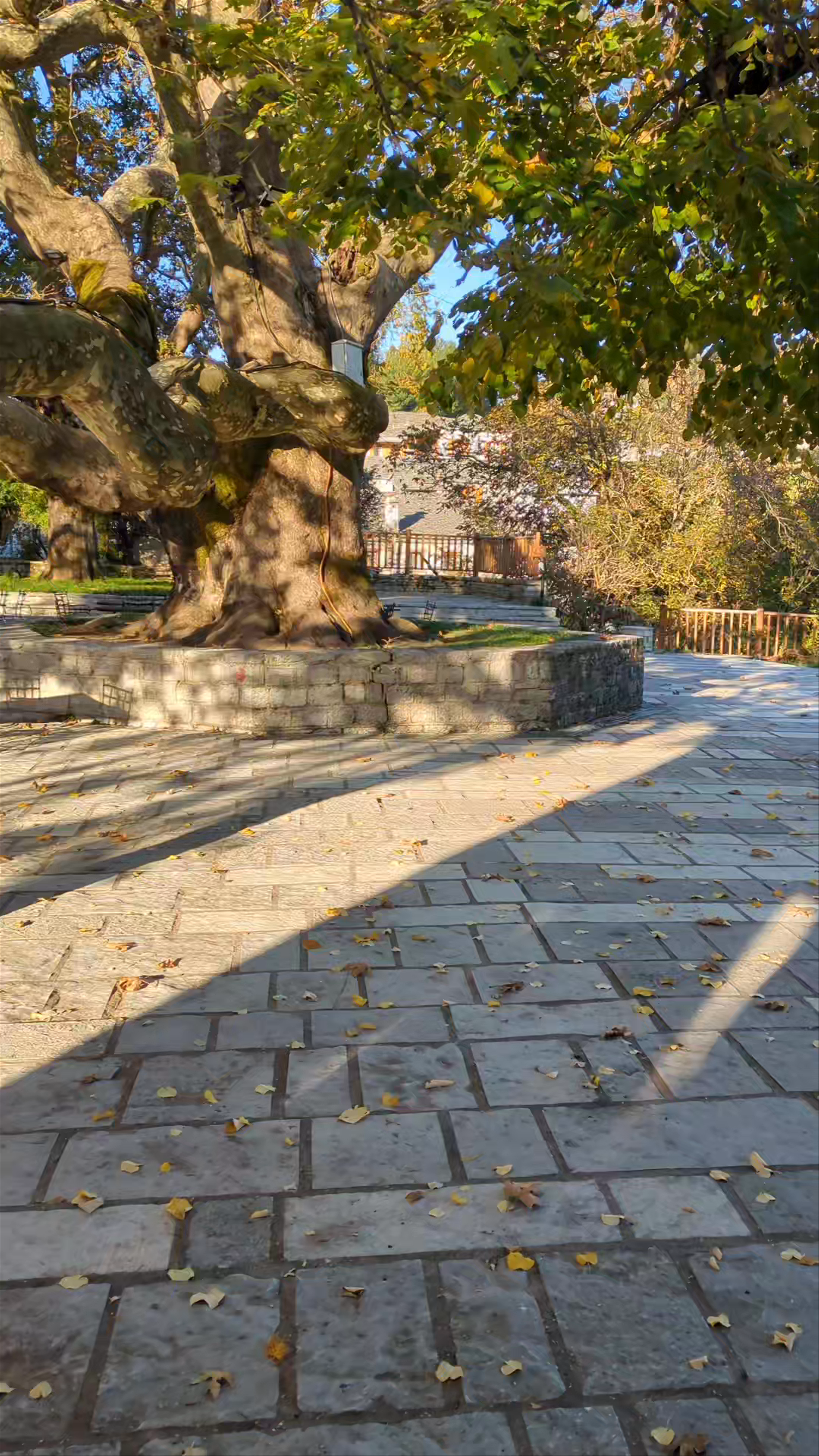 Κεντρική Πλατεία Βίτσας