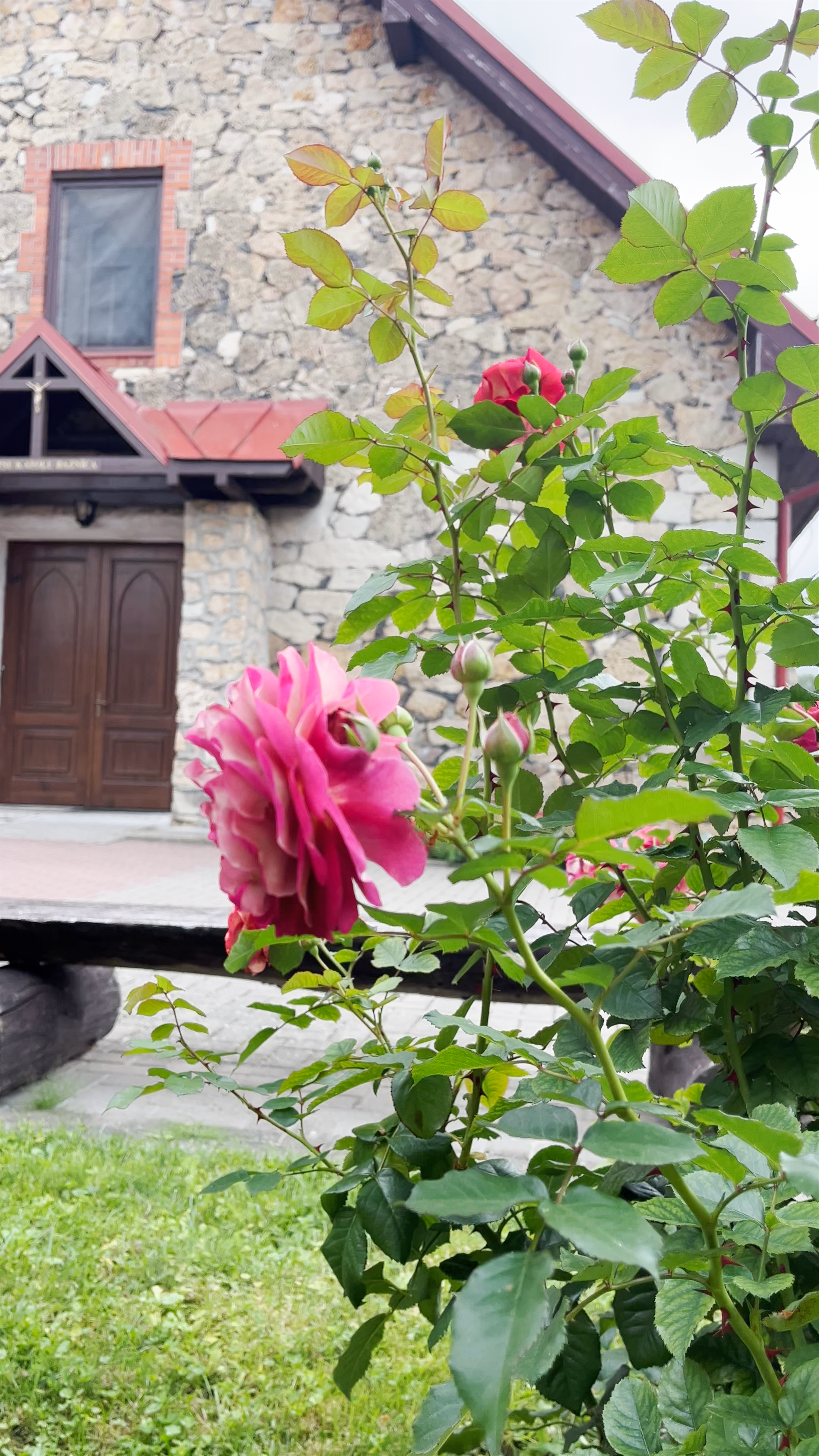 Plavinu Romas katolu draudze