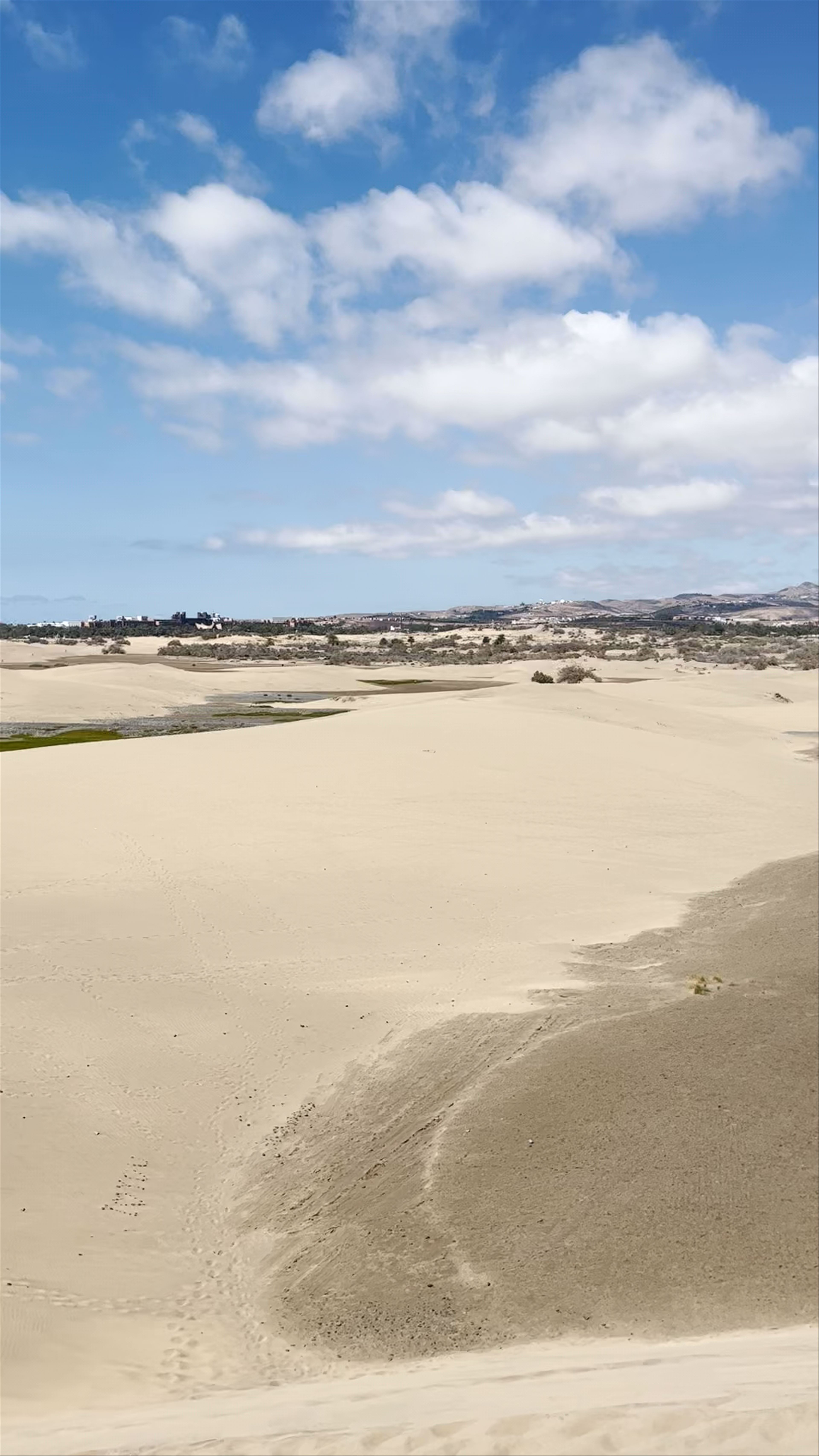 Dunes of Maspalomas