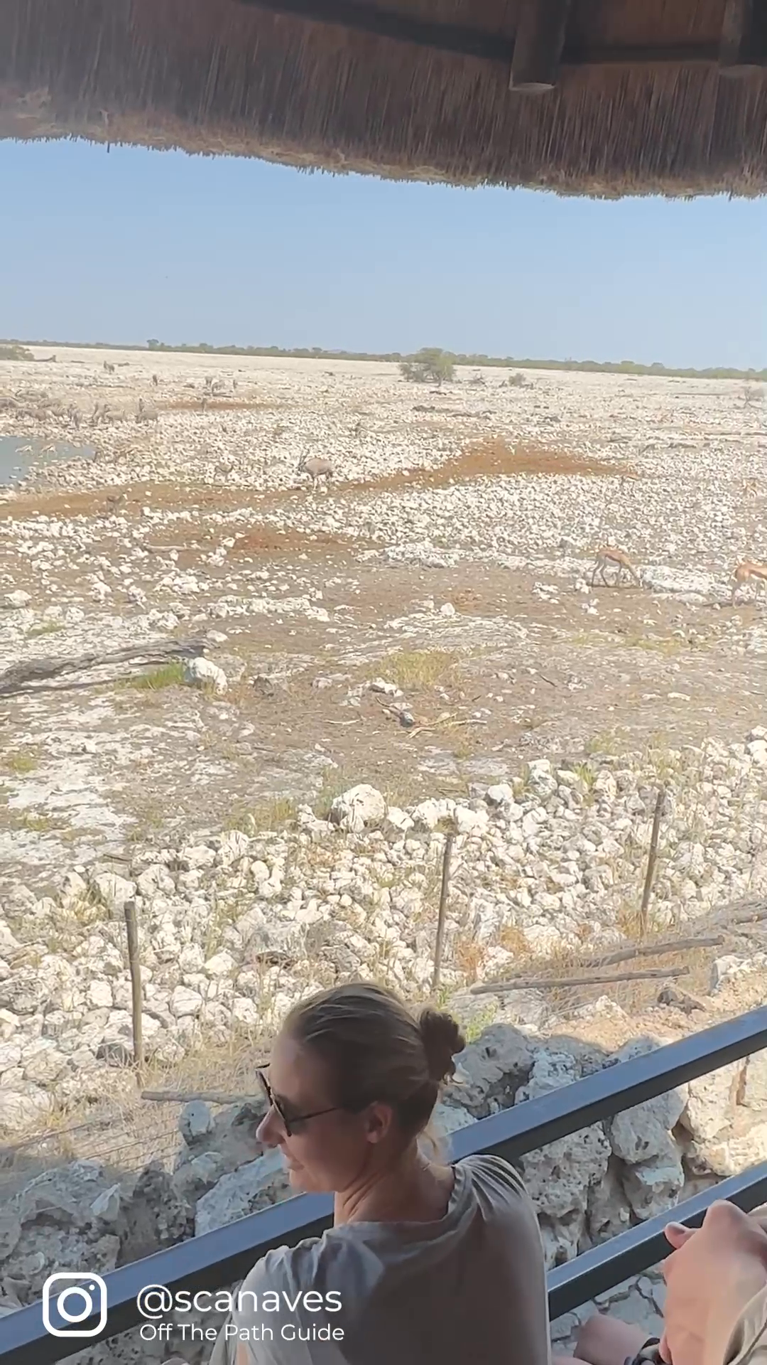 okaukuejo_wasserloch.mp4