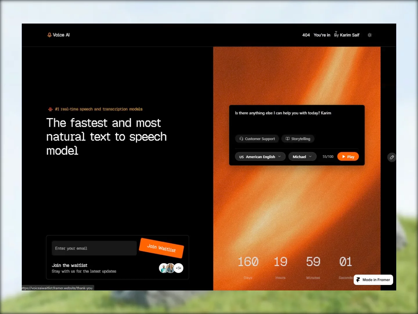 Voice Waitlist