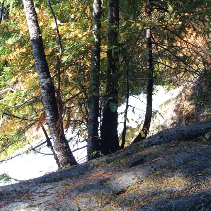 Eagle Rock Lodge - SAHALIE IS A MUST SEE - Bed & Breakfast Near Me - Vida, Oregon