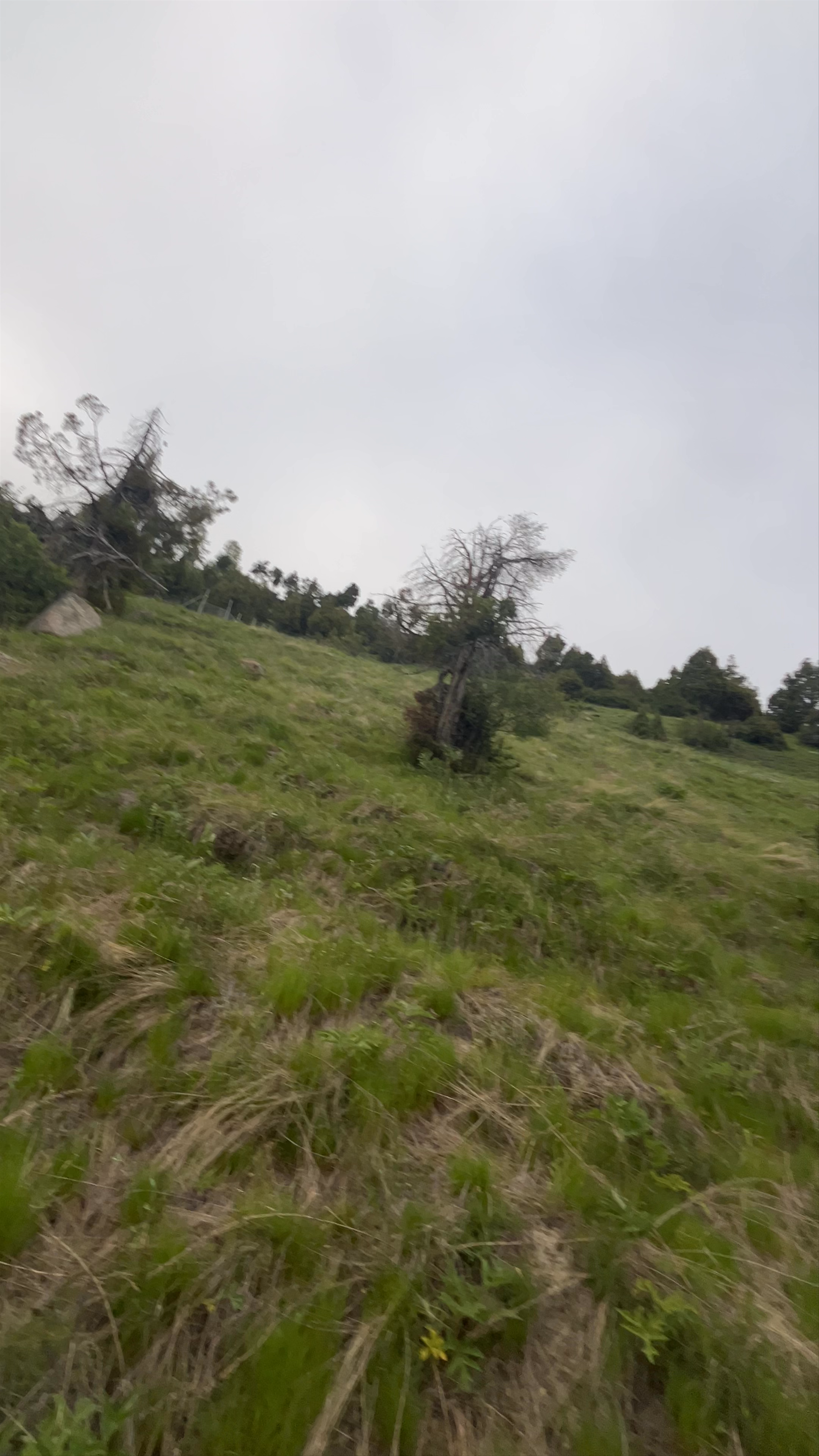 Kaylong Lah Highway view point