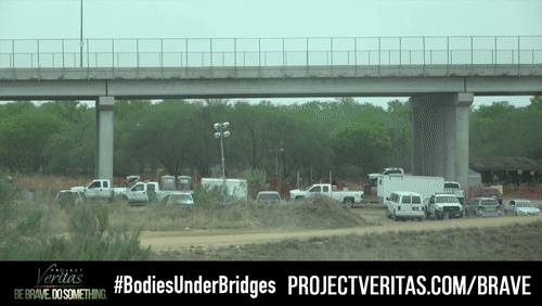 Video Thumbnail Loop