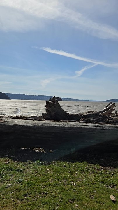 Martha's Beach - Beaches Near Me - La Conner, Washington