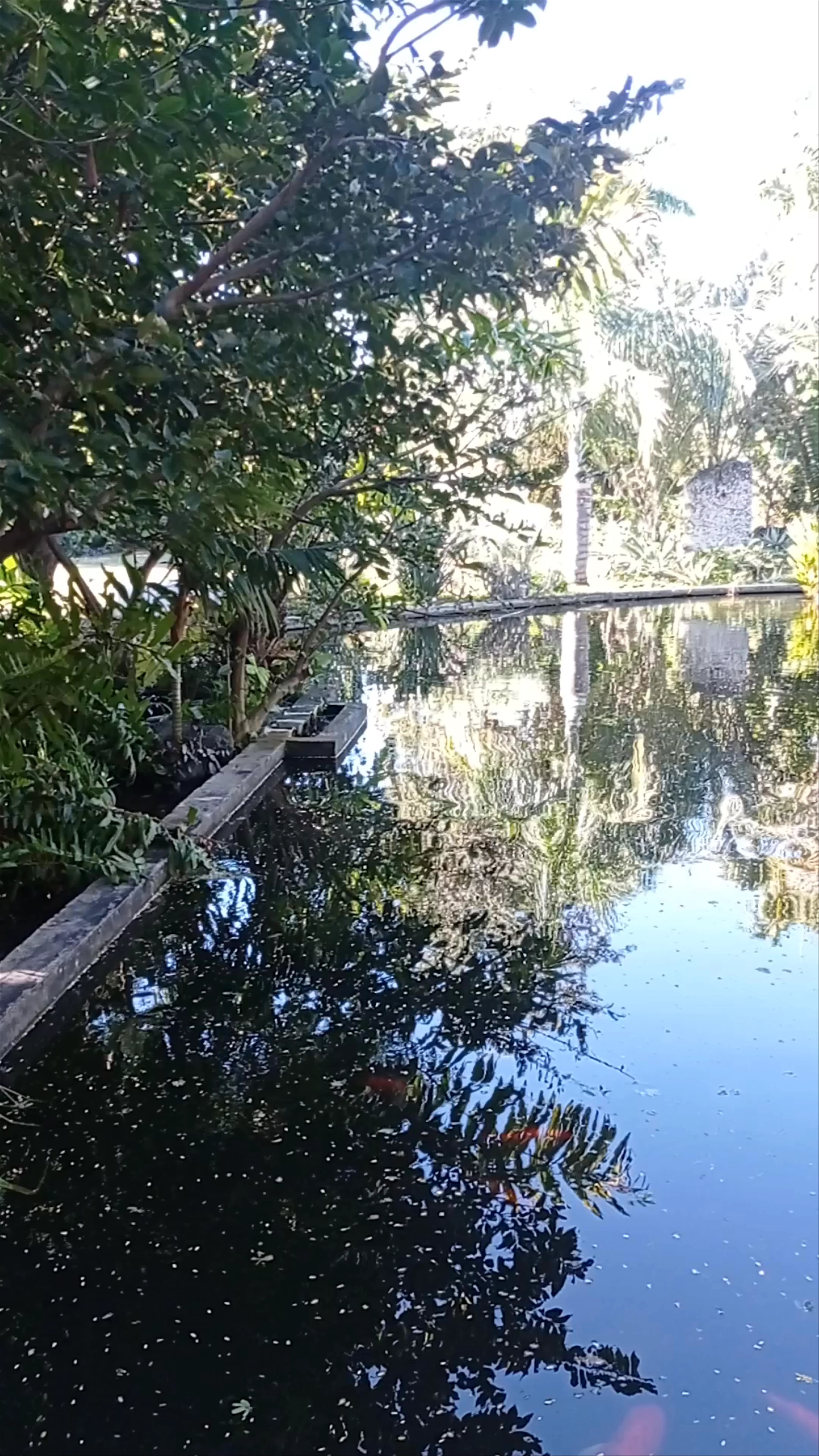 Miami Beach Botanical Garden