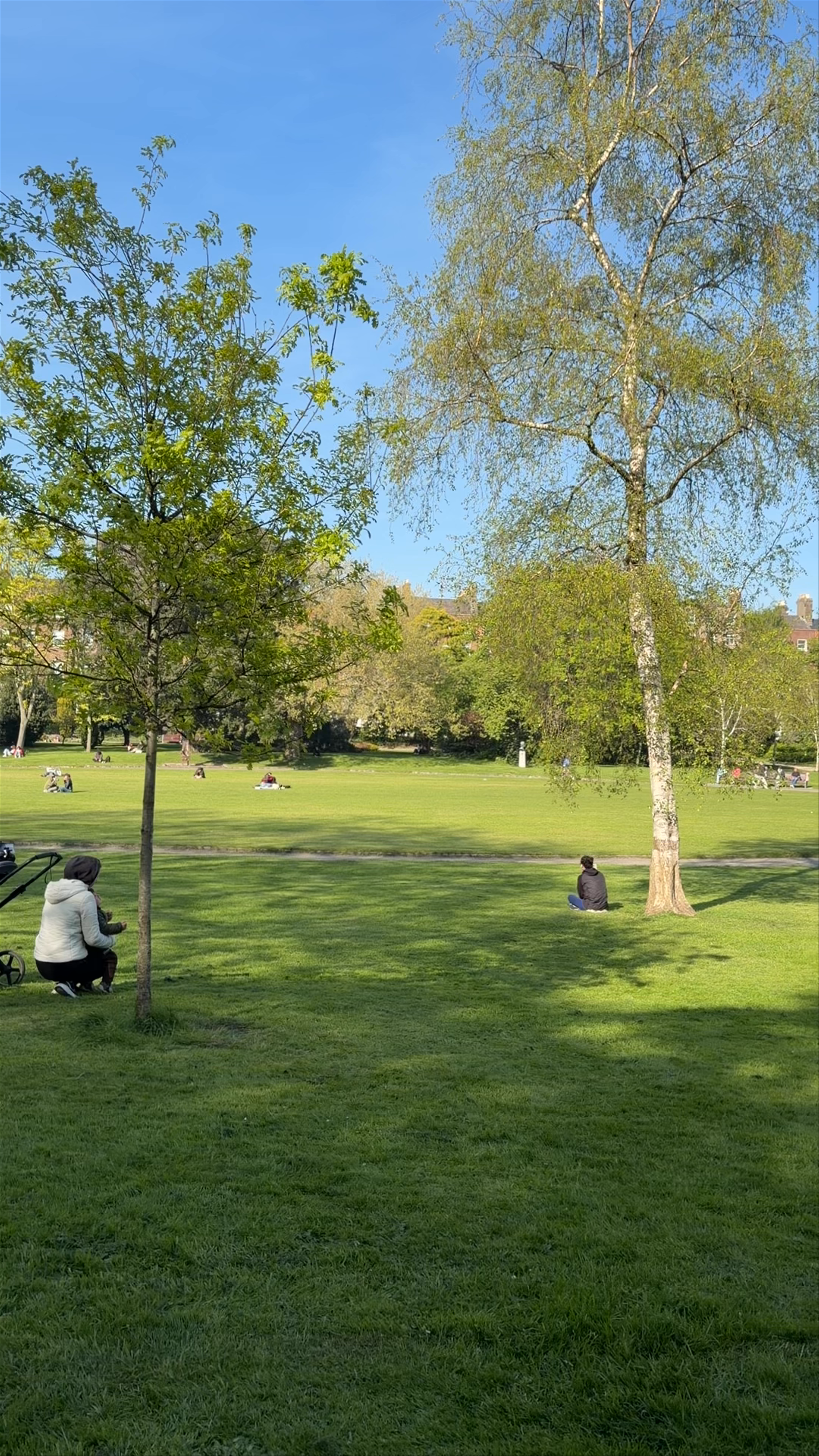Springtime Serenity at Merrion Square, Dublin