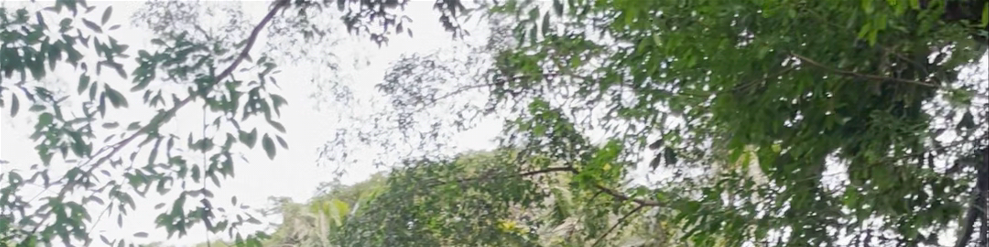 Dumaguete