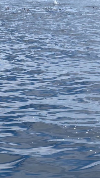 Video thumbnail 26 more videos