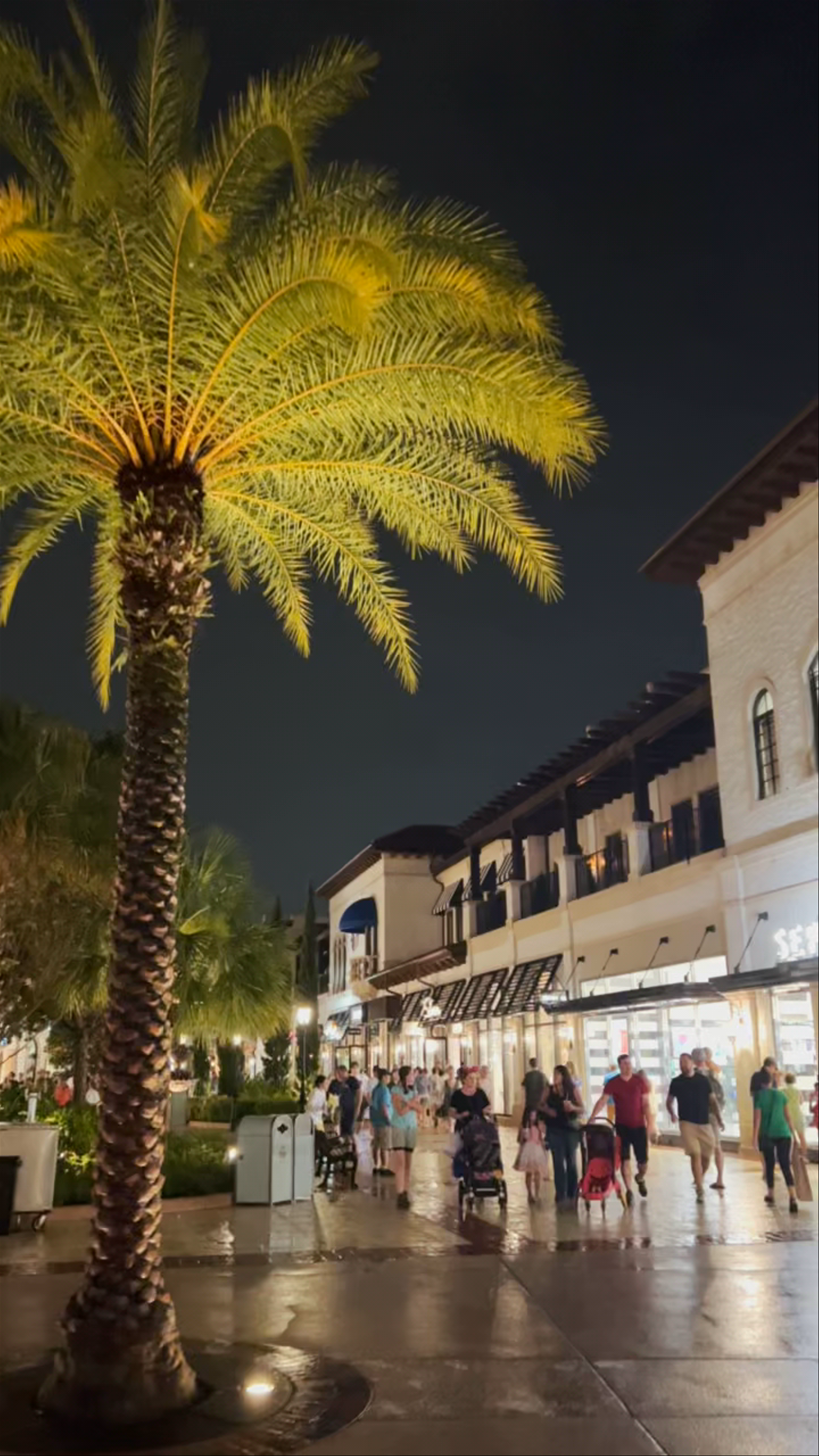 Disney Springs