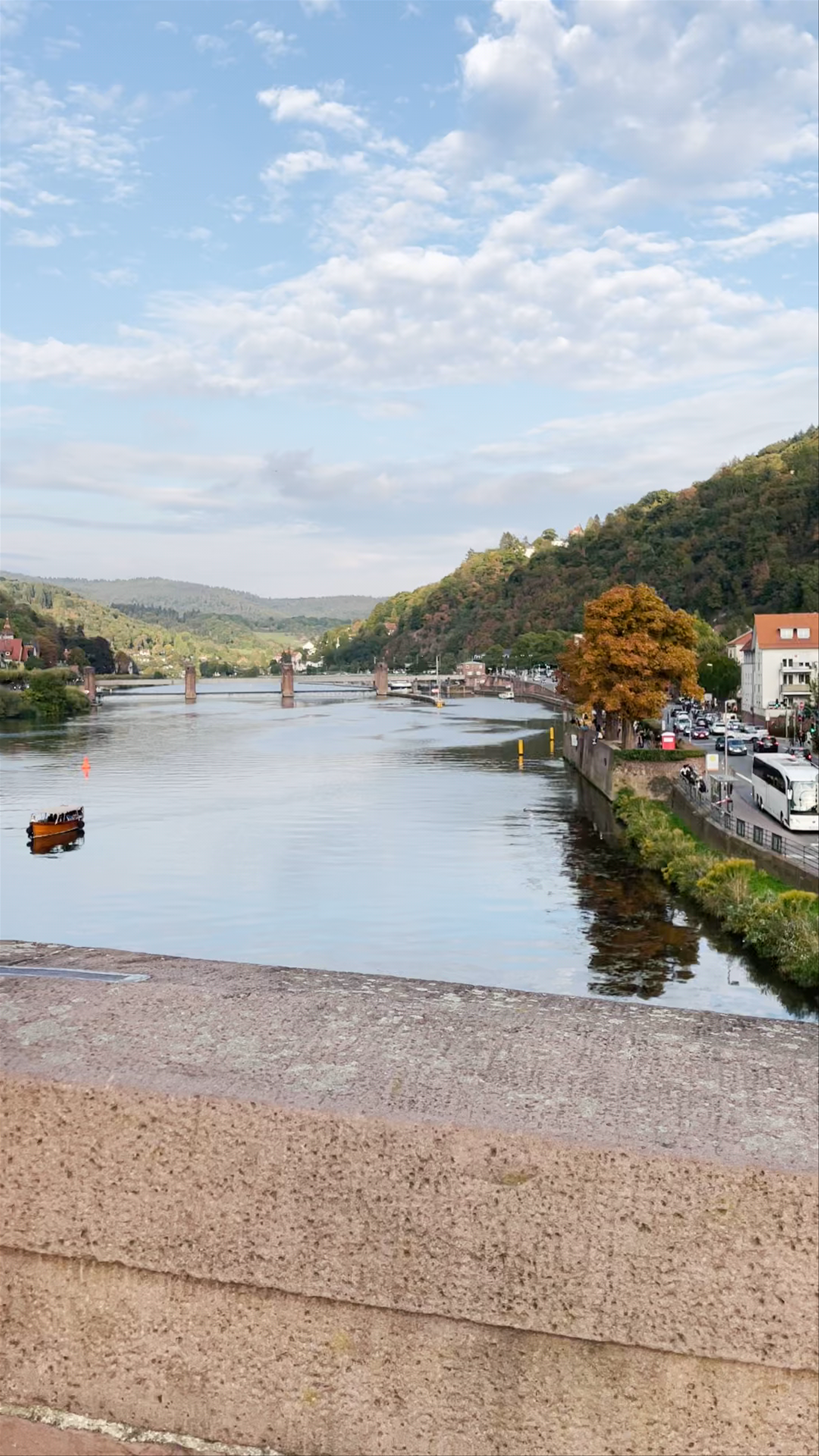 Old Bridge Heidelberg