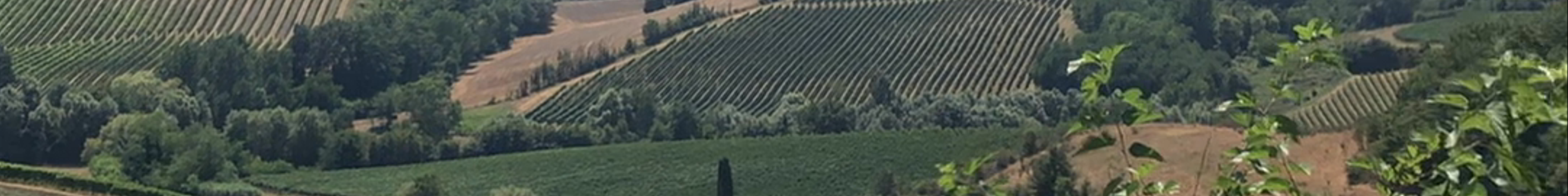 Tours & experiences in Italy