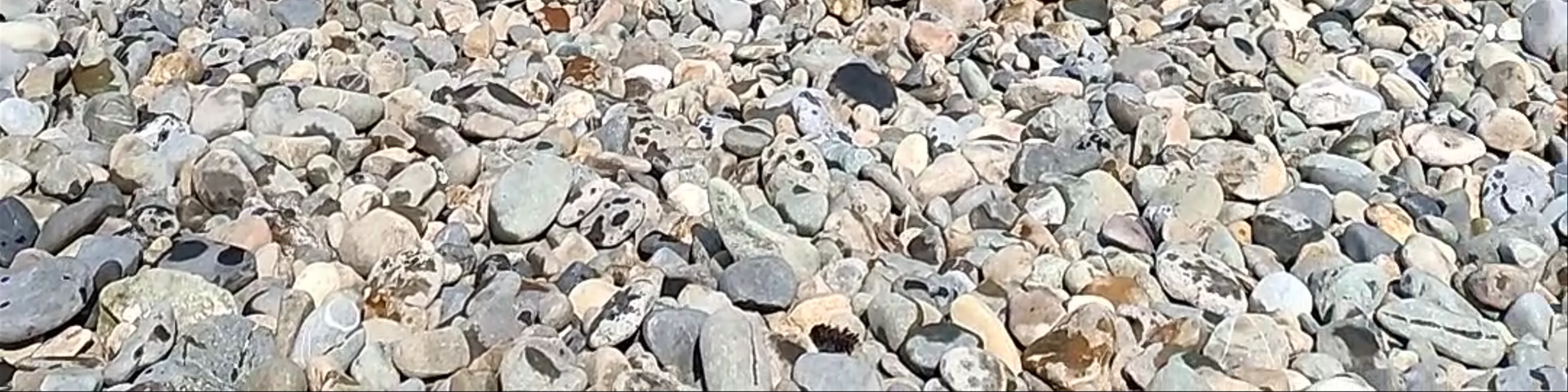 Bray Seafront
