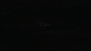 When I Get What I Want I Will Be Happy