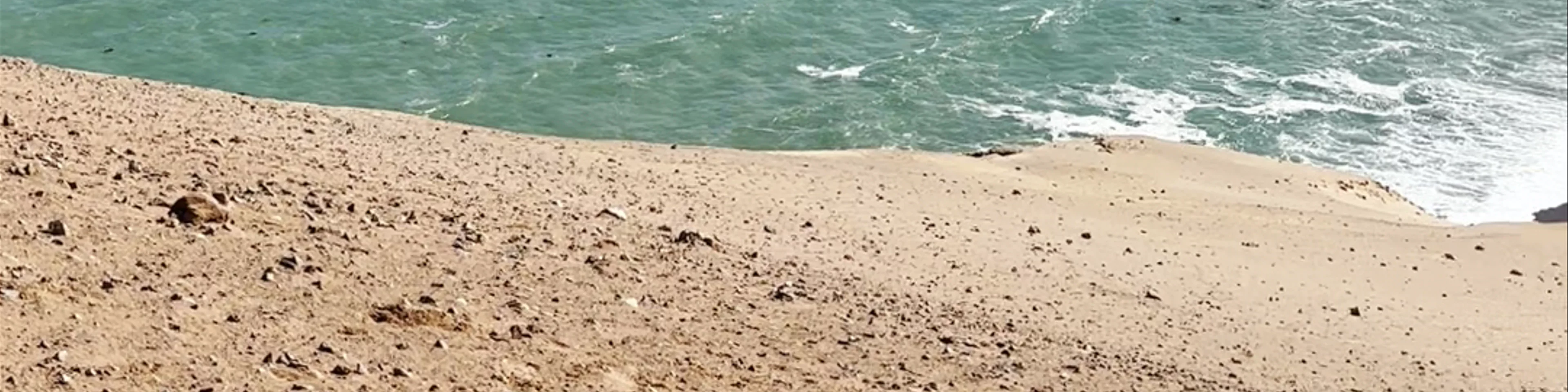 Paracas National Reserve