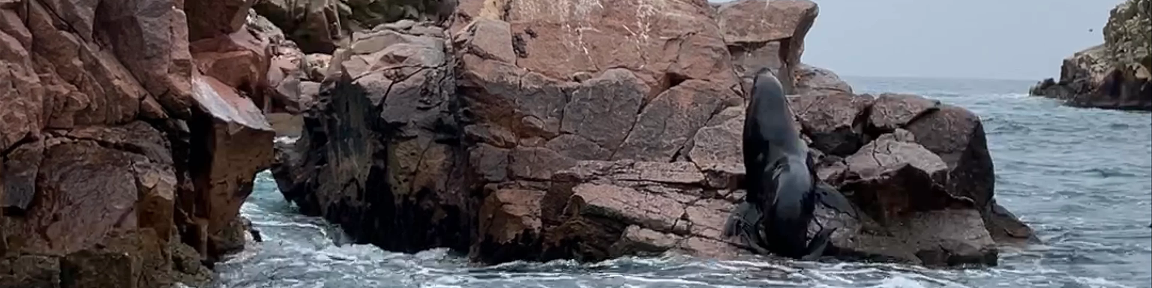 Ballestas