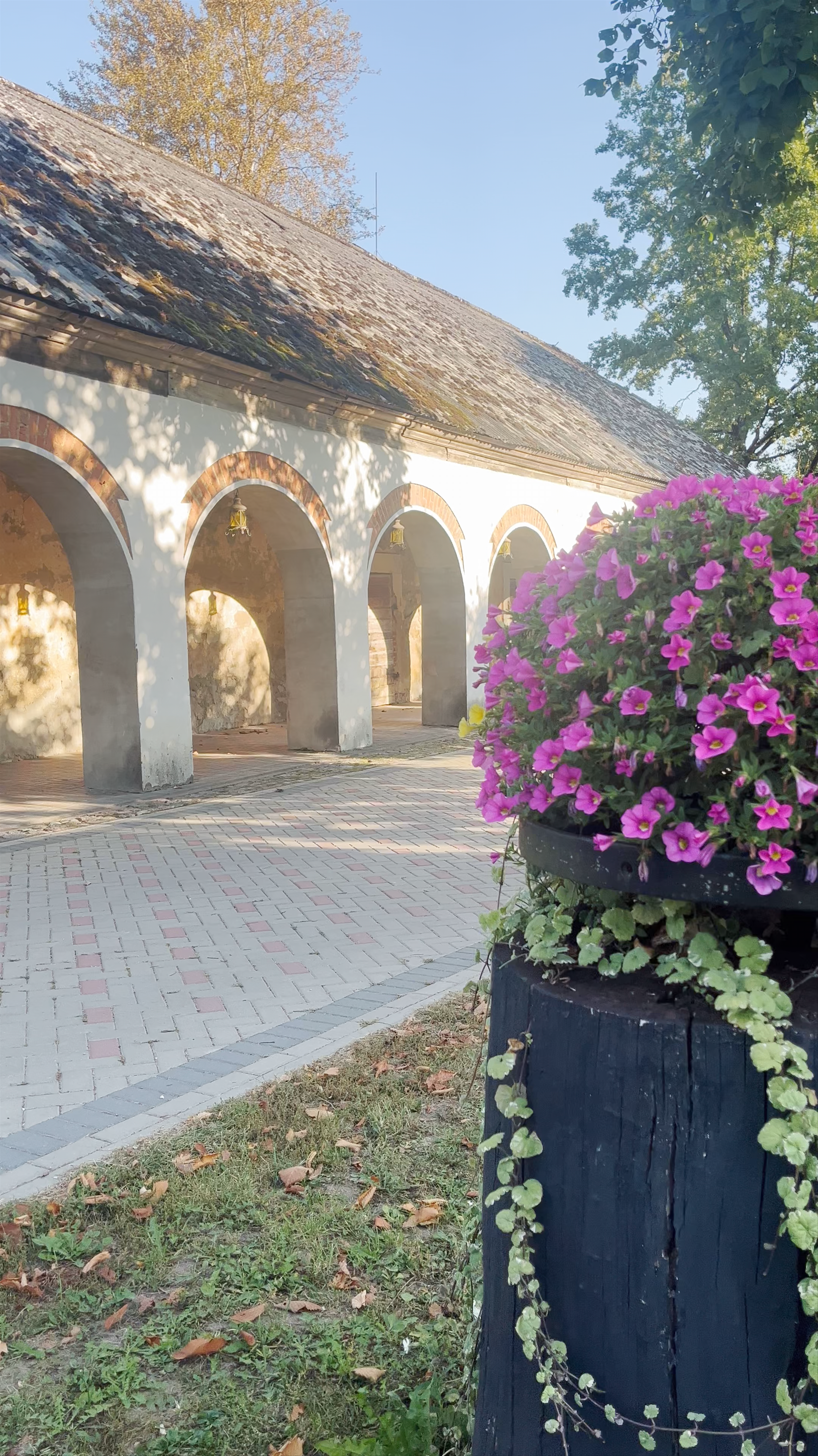Ērberģe Manor: Autumn Tranquility in Latvia’s Historic Grounds