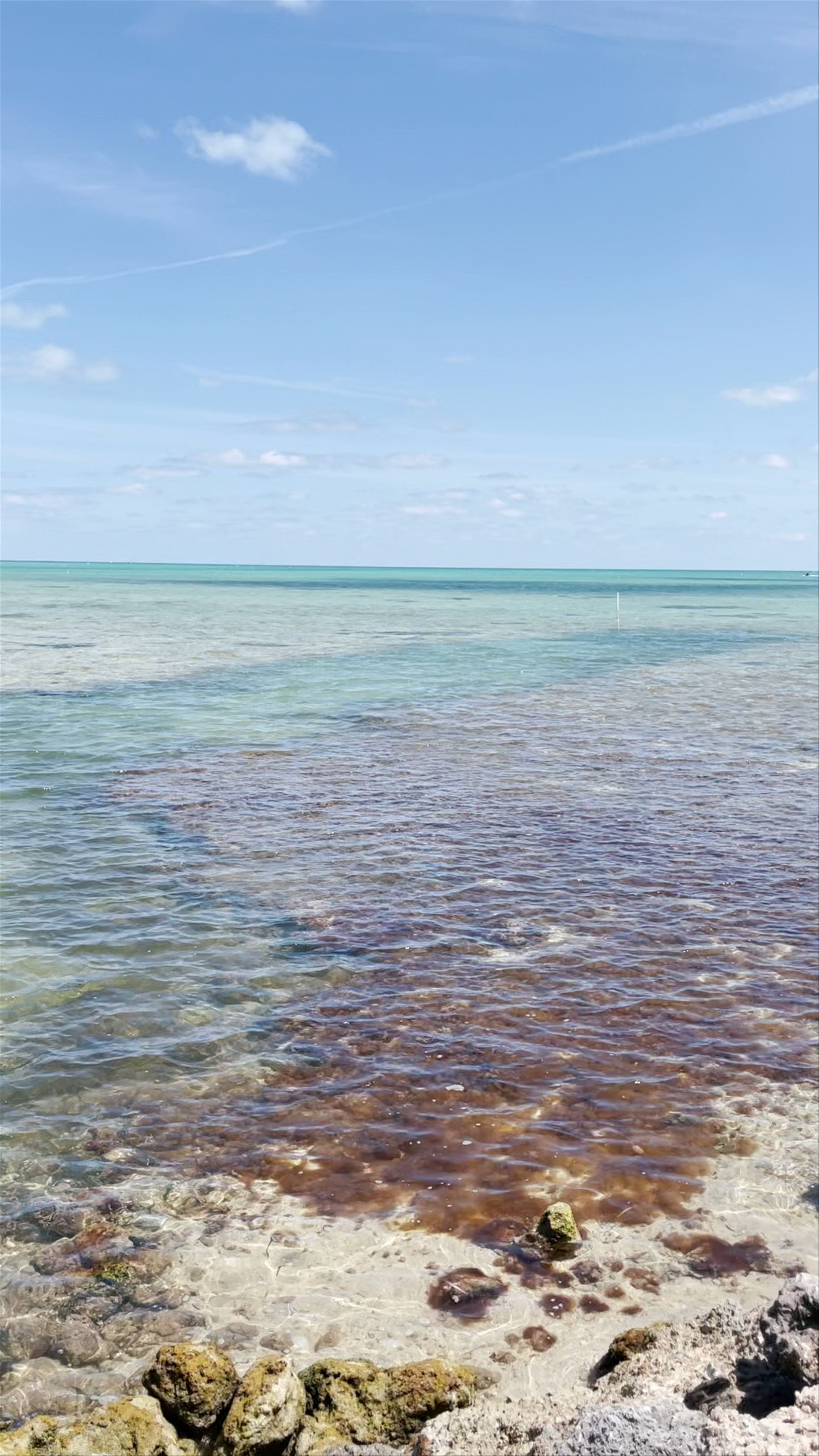 The Islands of Islamorada