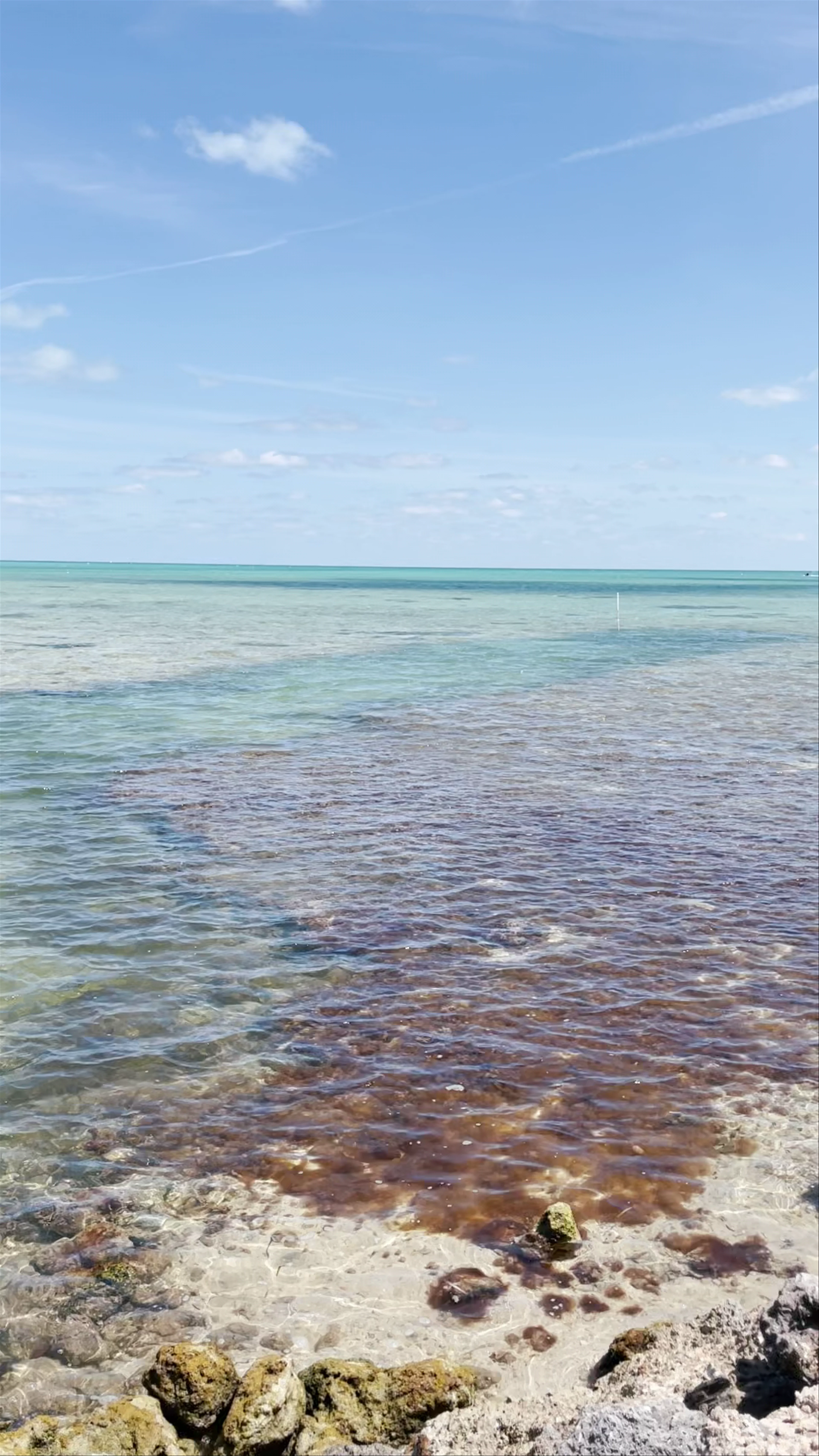 The Islands of Islamorada
