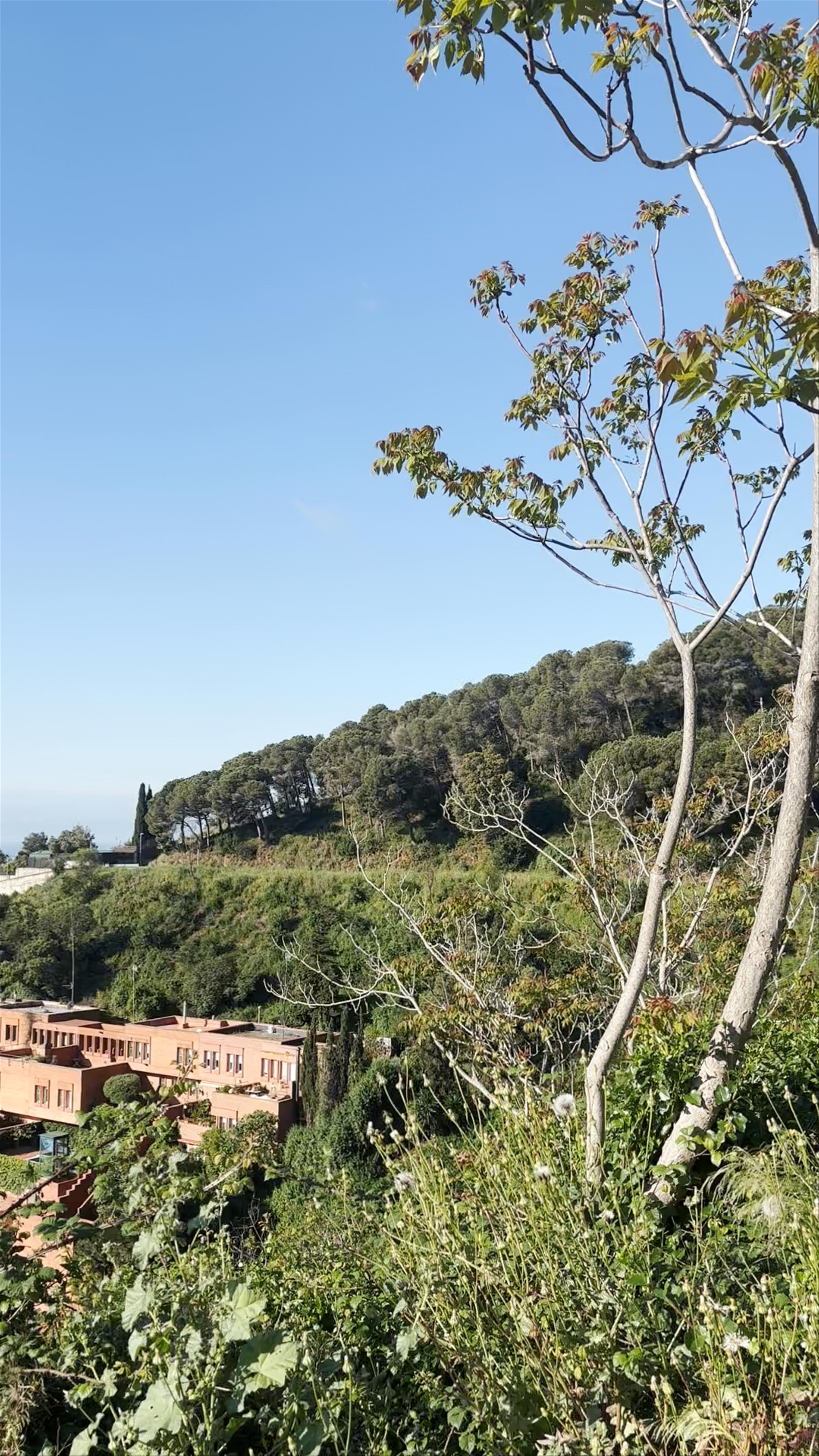 Panoramic Nature Walk at Passeig de les Aigües, Barcelona
