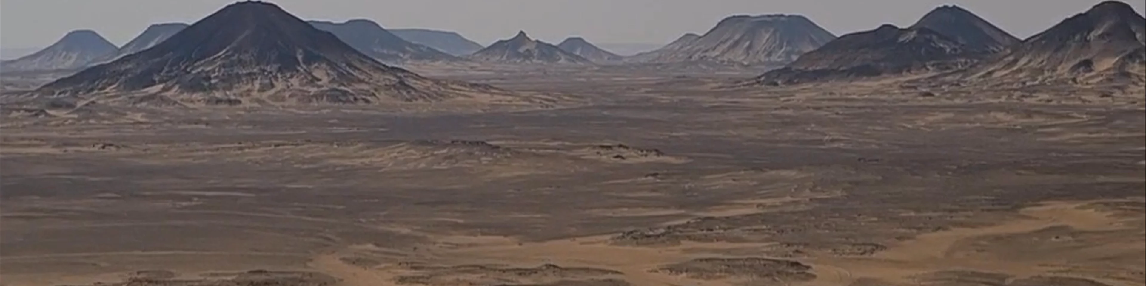 Black Desert
