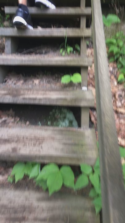 Video thumbnail 6 more videos