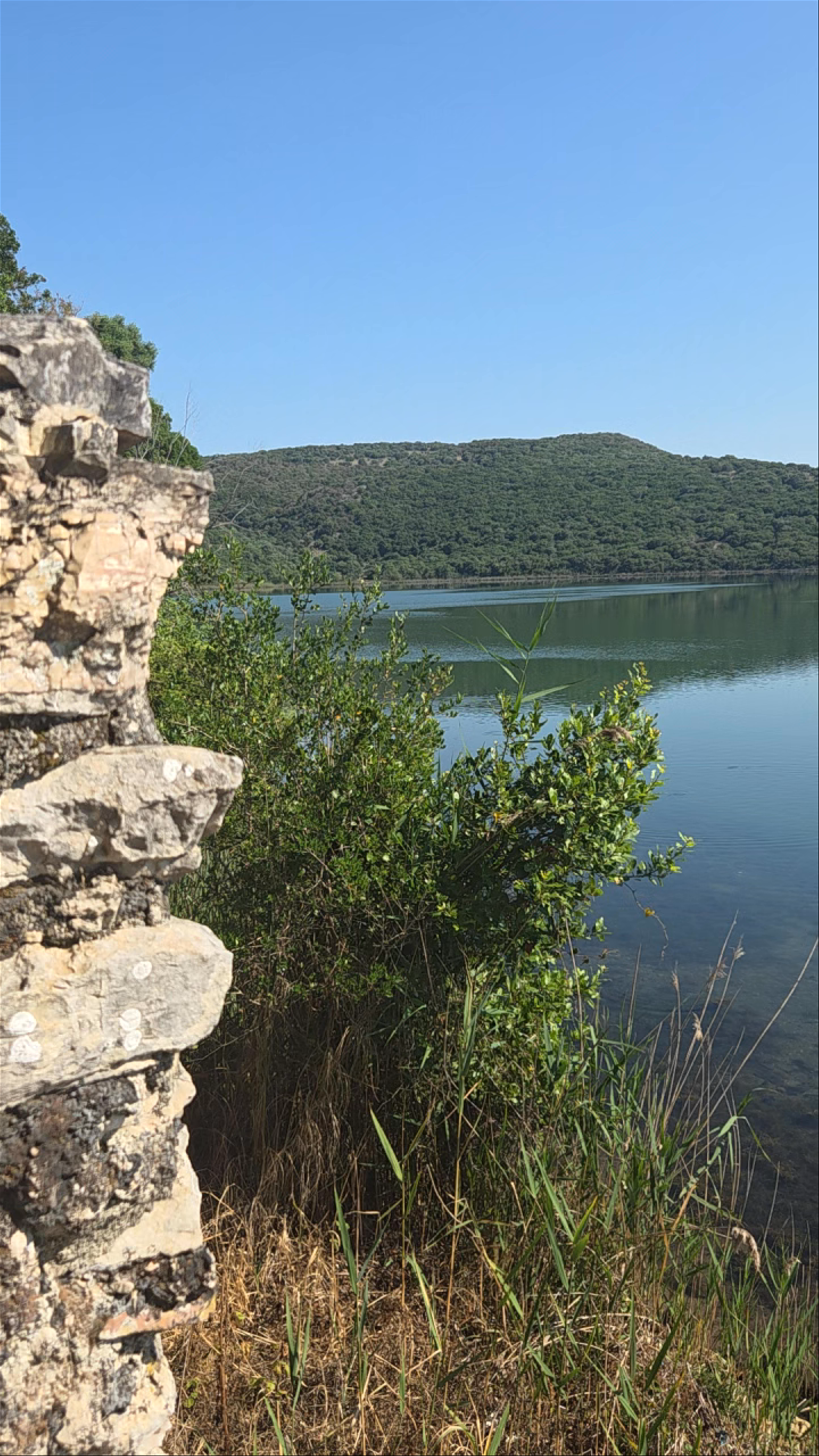 Lake Gate