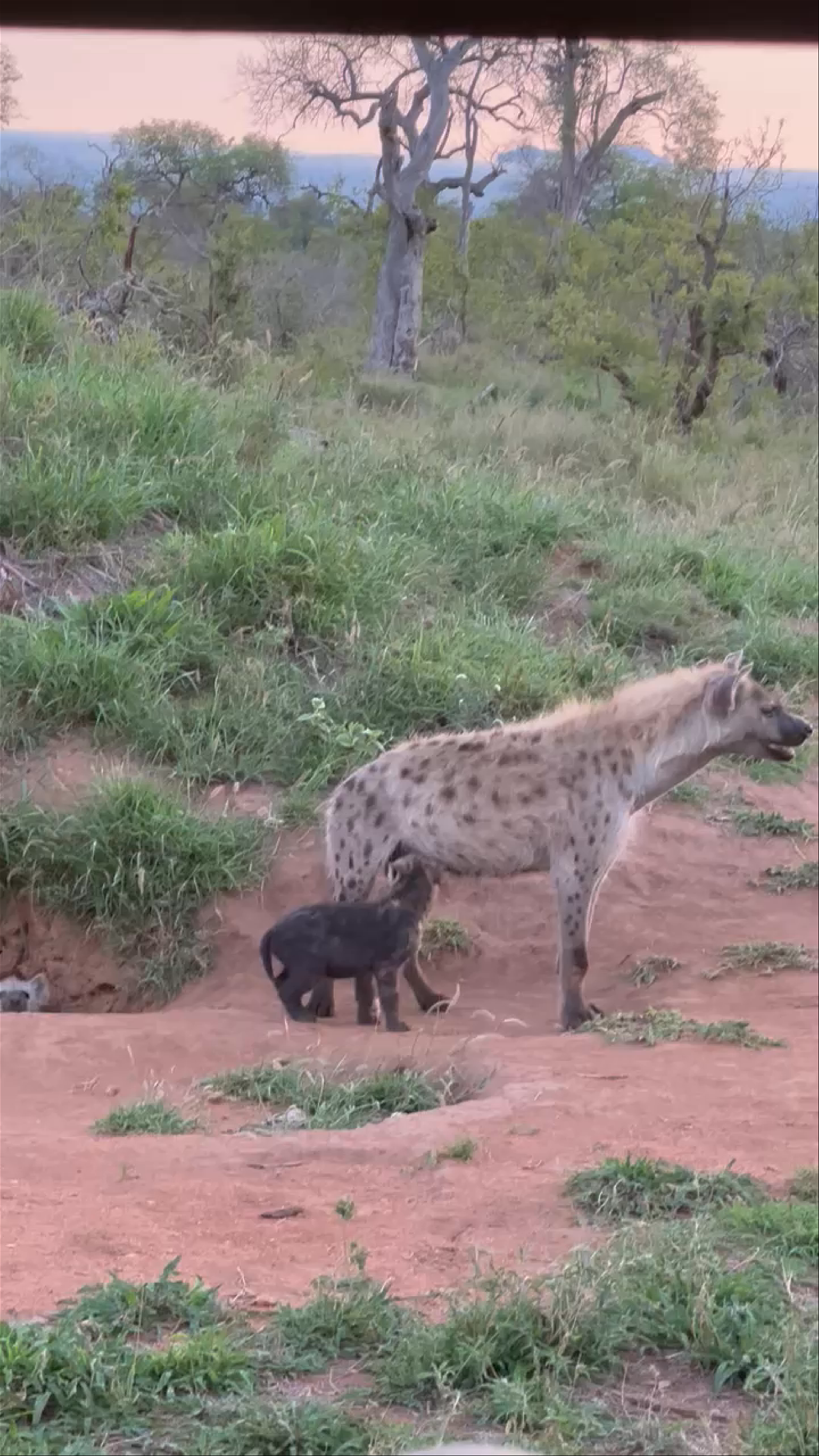 Kruger National Park