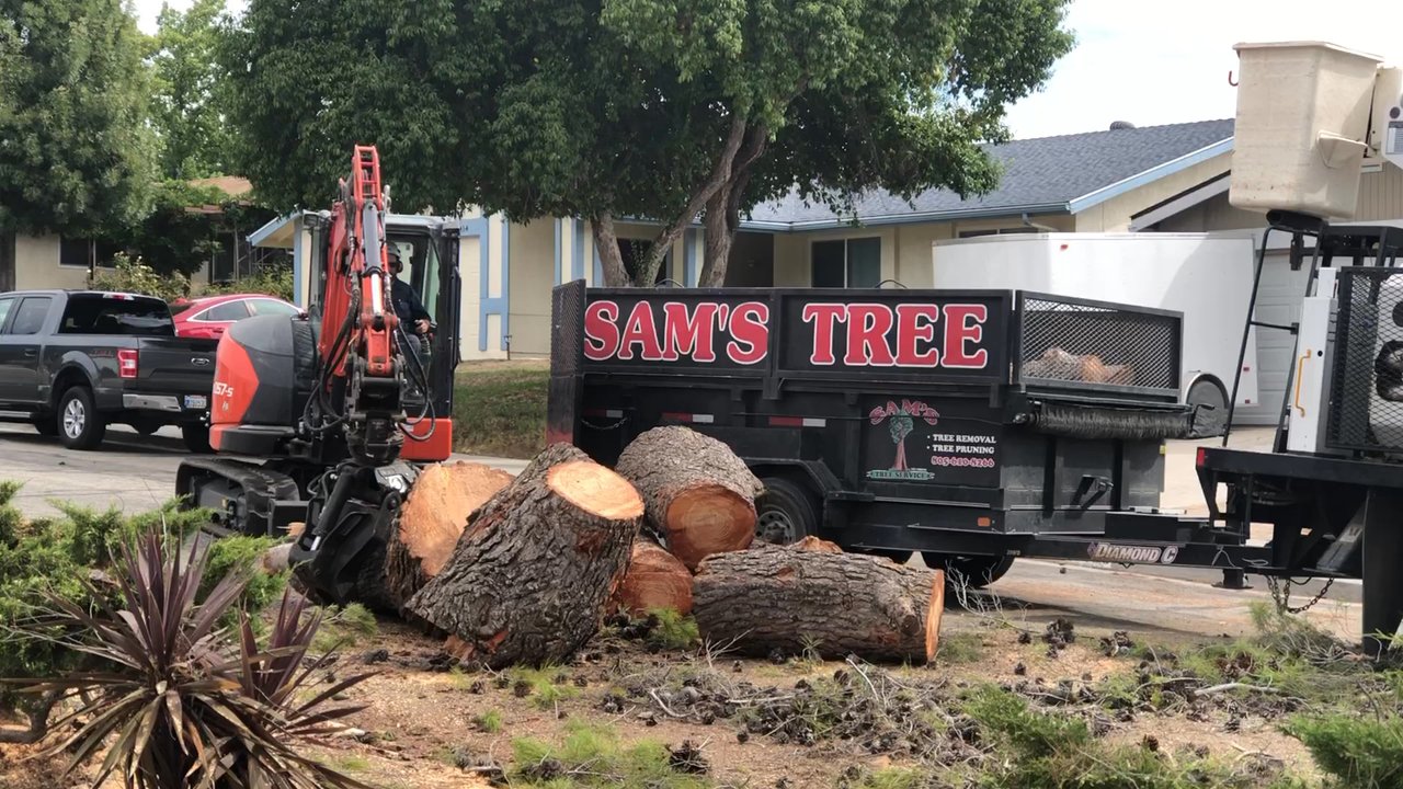 Sam's Tree Service - Hauling away the big trunk - Tree Services Near Me - Creston, California